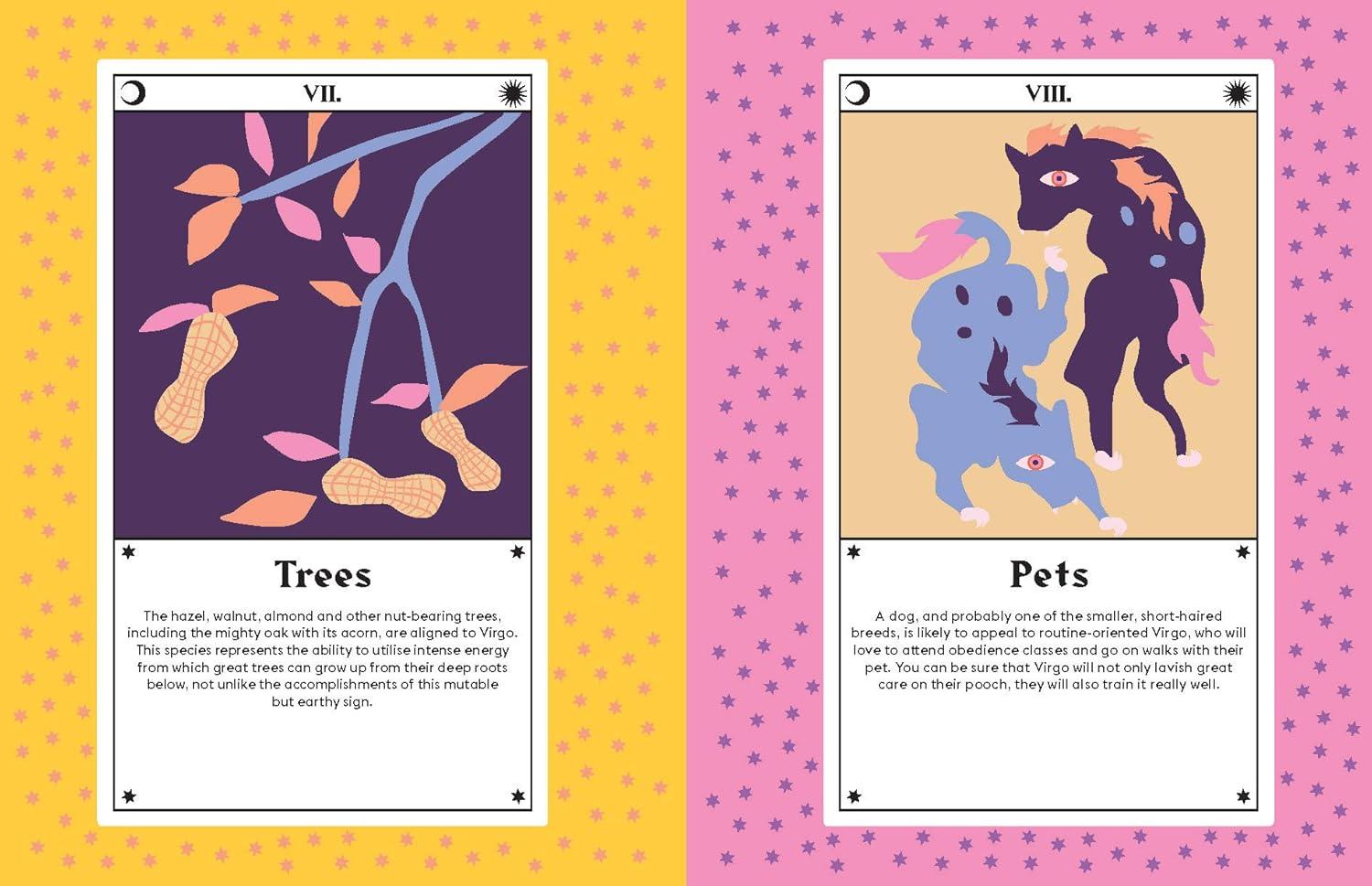 Virgo - (Hg Seeing Stars) by  Stella Andromeda (Hardcover)