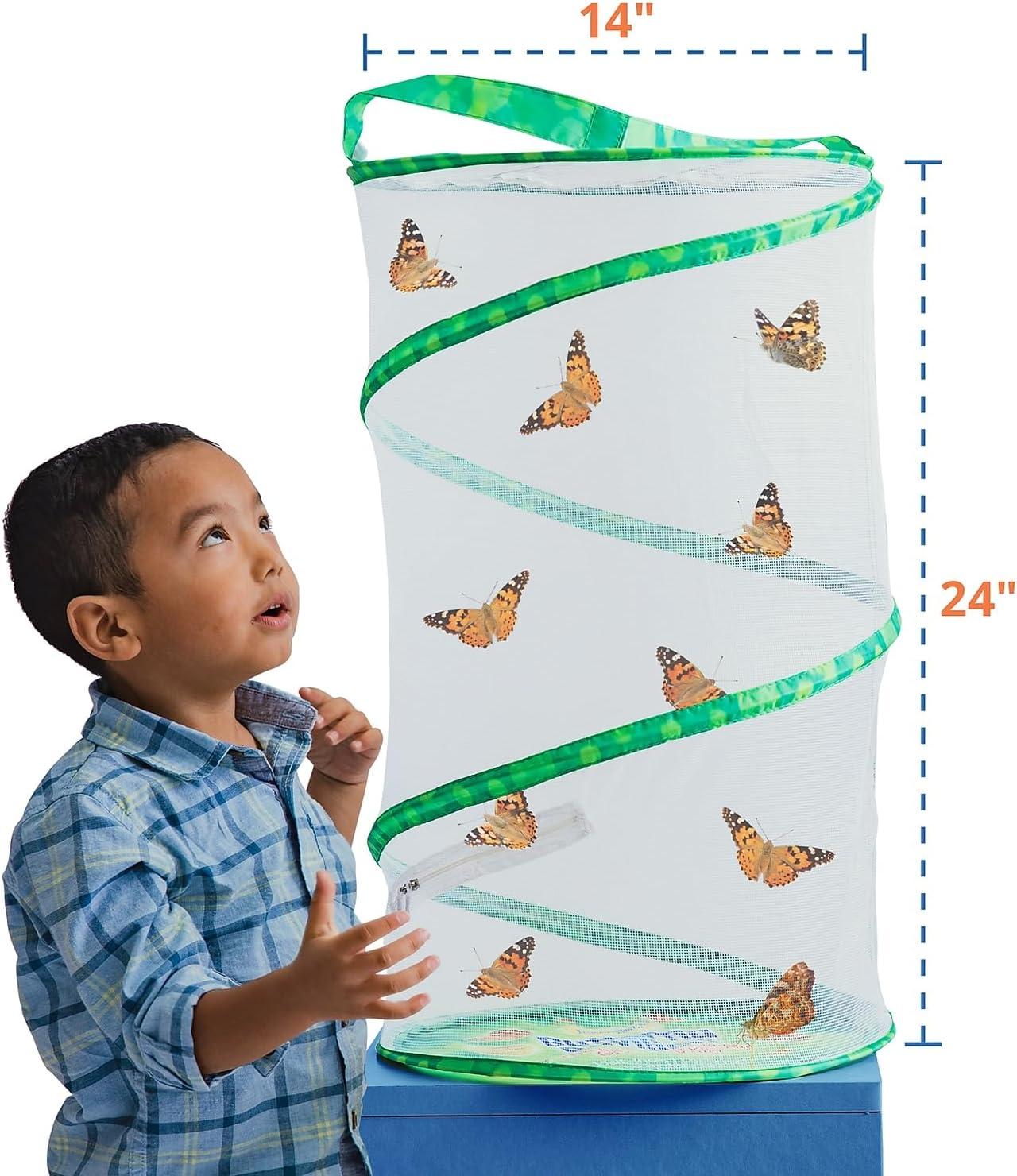 Insect Lore Giant Butterfly Garden® Deluxe Growing Kit - Stem Butterfly Kit w/ Live Caterpillars