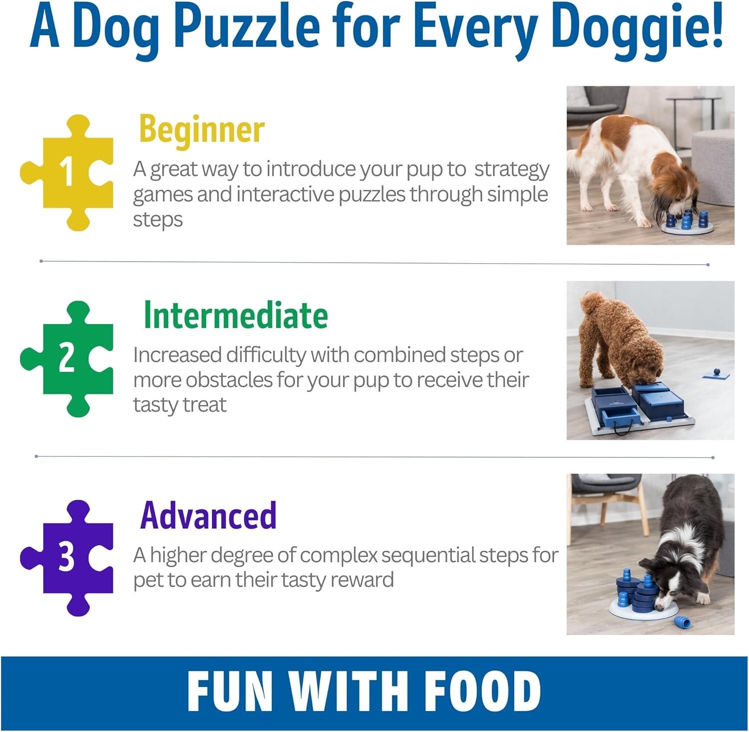 TRIXIE TRIXIE Dog Activity Flip Board XXL Level 2 Strategy Game, Intermediate Dog Puzzle Toy