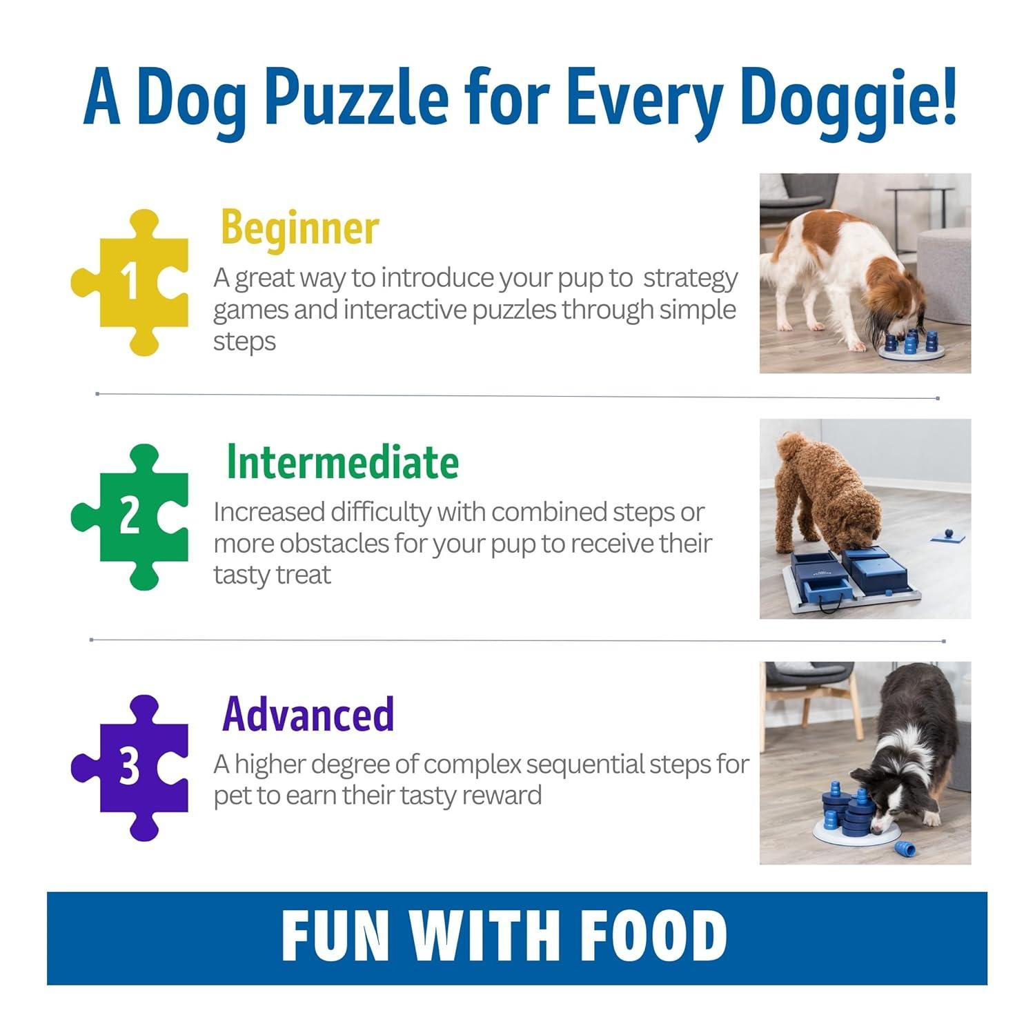 TRIXIE TRIXIE Dog Activity Flip Board XXL Level 2 Strategy Game, Intermediate Dog Puzzle Toy