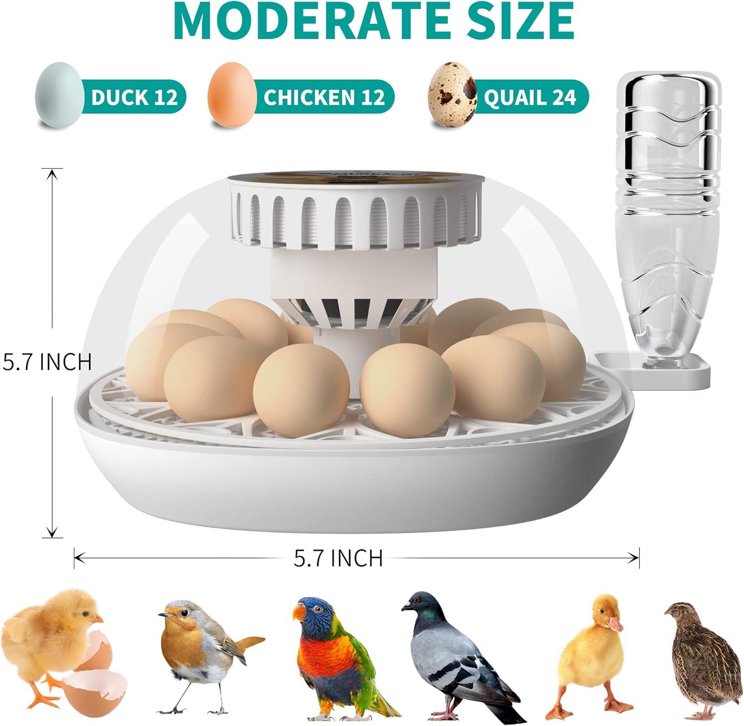 Lreerge Egg Incubator, 12 Eggs Incubator with Automatic Egg Turning, Automatic Water Adding, 360 Degree View, for Hatching Chicken Goose Quail Duck