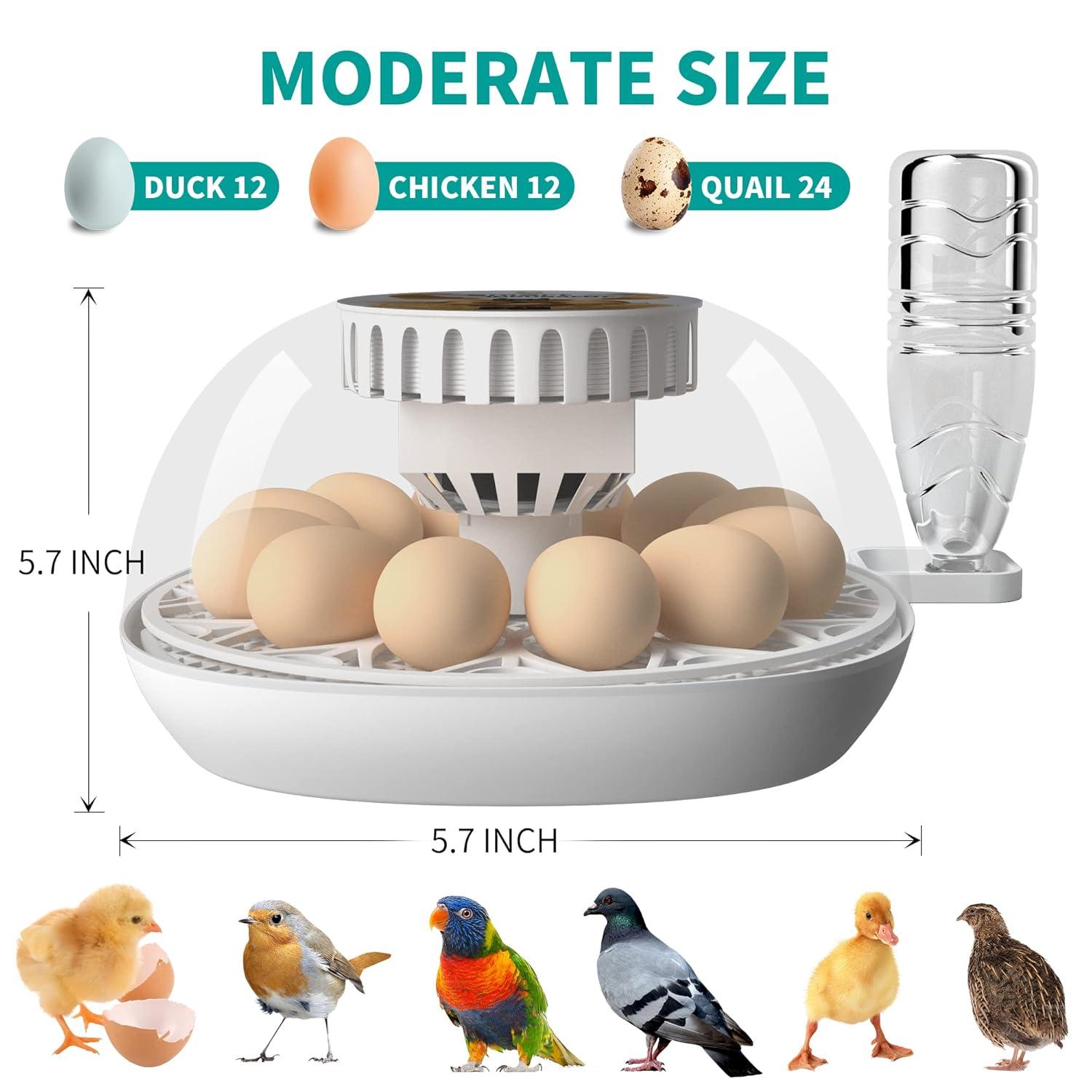 Lreerge Egg Incubator, 12 Eggs Incubator with Automatic Egg Turning, Automatic Water Adding, 360 Degree View, for Hatching Chicken Goose Quail Duck