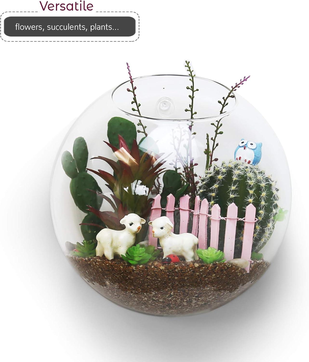 WGV Half Round Wall Hanging Terrarium - 6" Wide x 4" Depth, Good quality, Heavy Weighted Base - 1 Pc