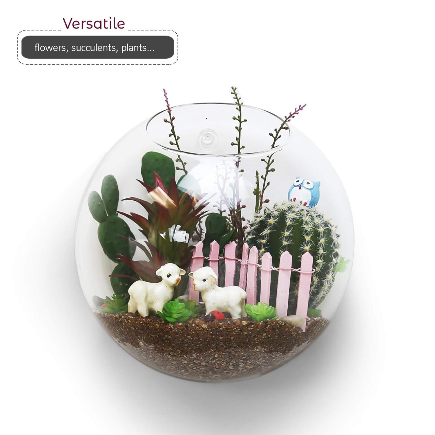 WGV Half Round Wall Hanging Terrarium - 6" Wide x 4" Depth, Good quality, Heavy Weighted Base - 1 Pc