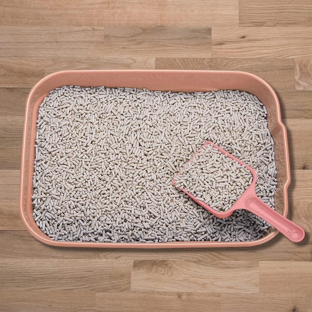 Kitty Litter Box Starter Kit - Small Cat Litter Pan Without Lid, Litter Mat, Scoop and Bowl for Kitten Within 3 Months