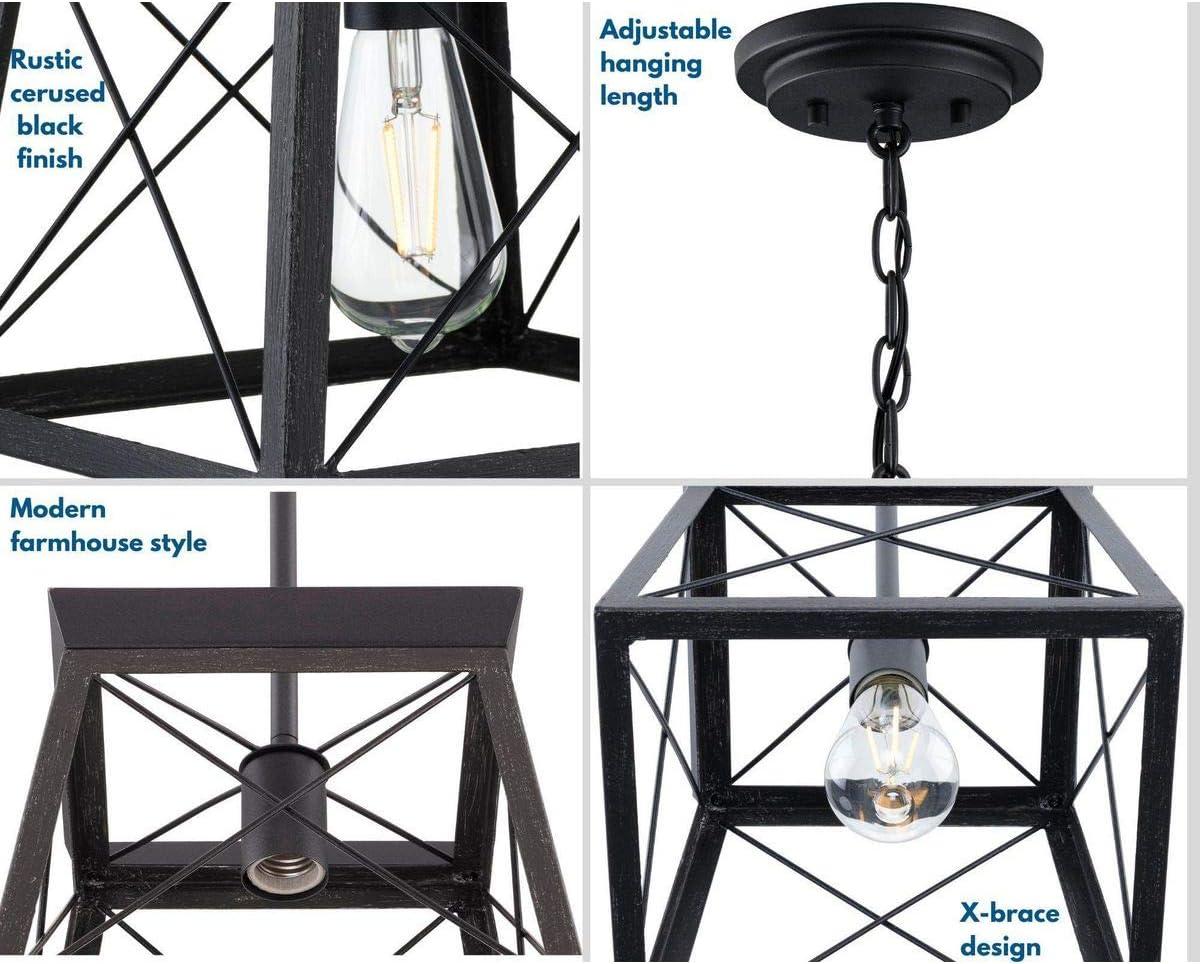 Progress Lighting Briarwood 1-Light Mini-Pendant, Steel, Textured Black, Faux-Painted Wood Enclosure