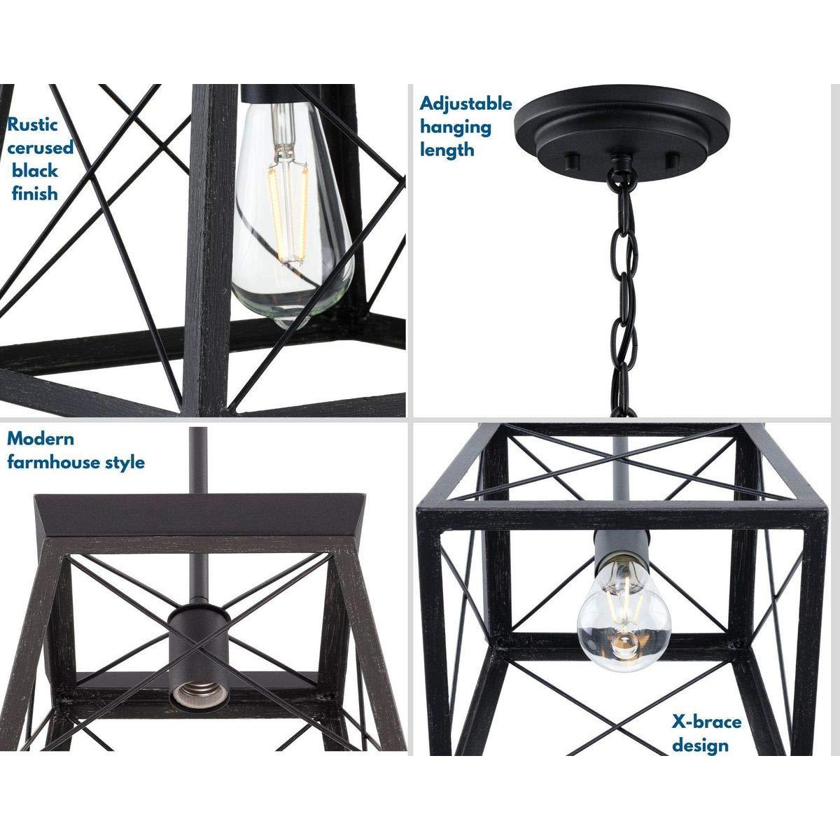 Progress Lighting Briarwood 1-Light Mini-Pendant, Steel, Textured Black, Faux-Painted Wood Enclosure
