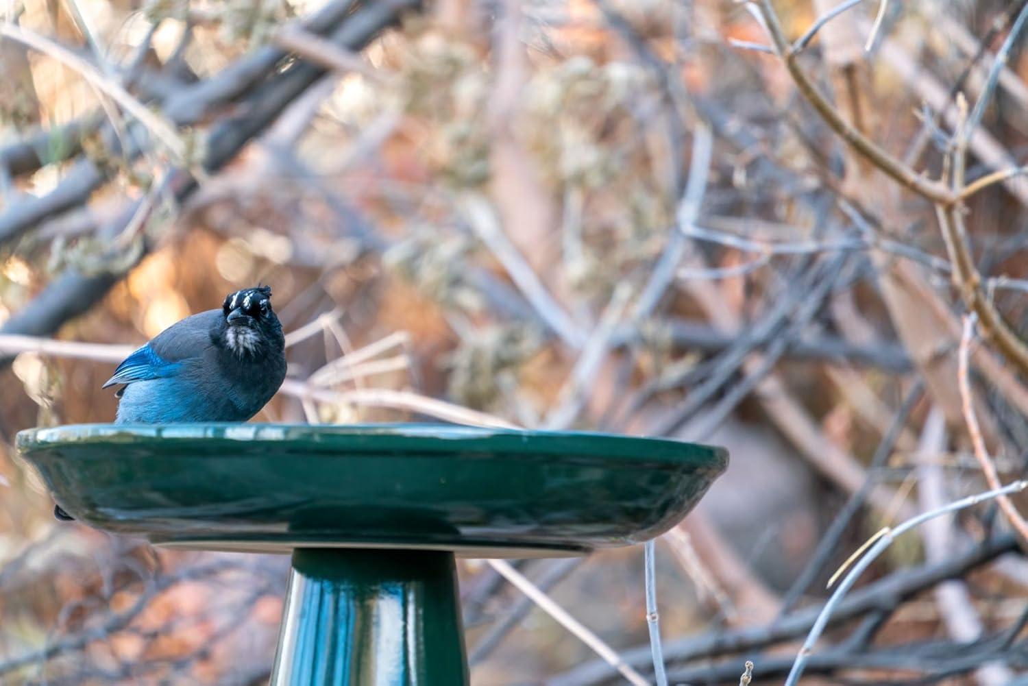 Ohio Stoneware Bird Bath