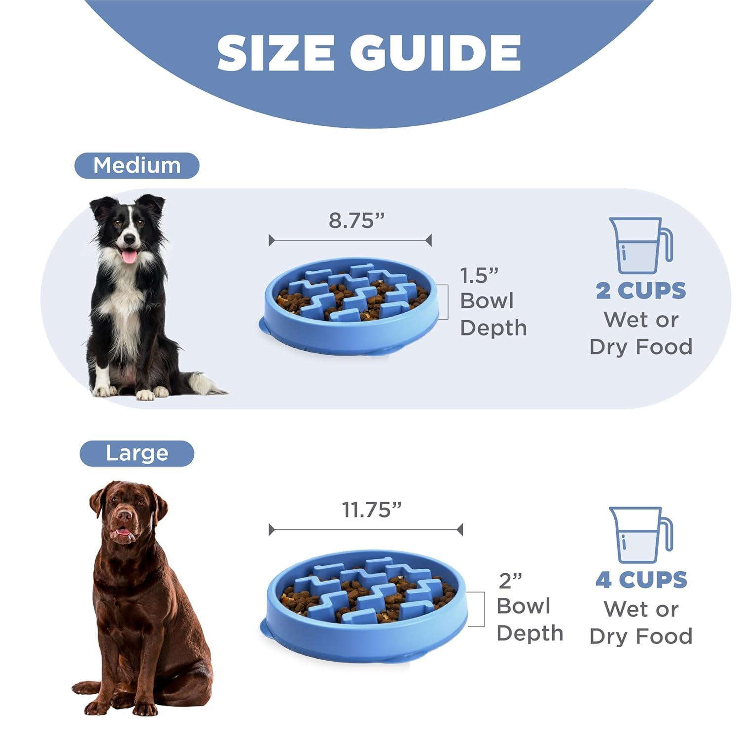 Outward Hound Outward Hound Fun Feeder Slow Bowl, Slow Feeder Dog Bowl, Blue