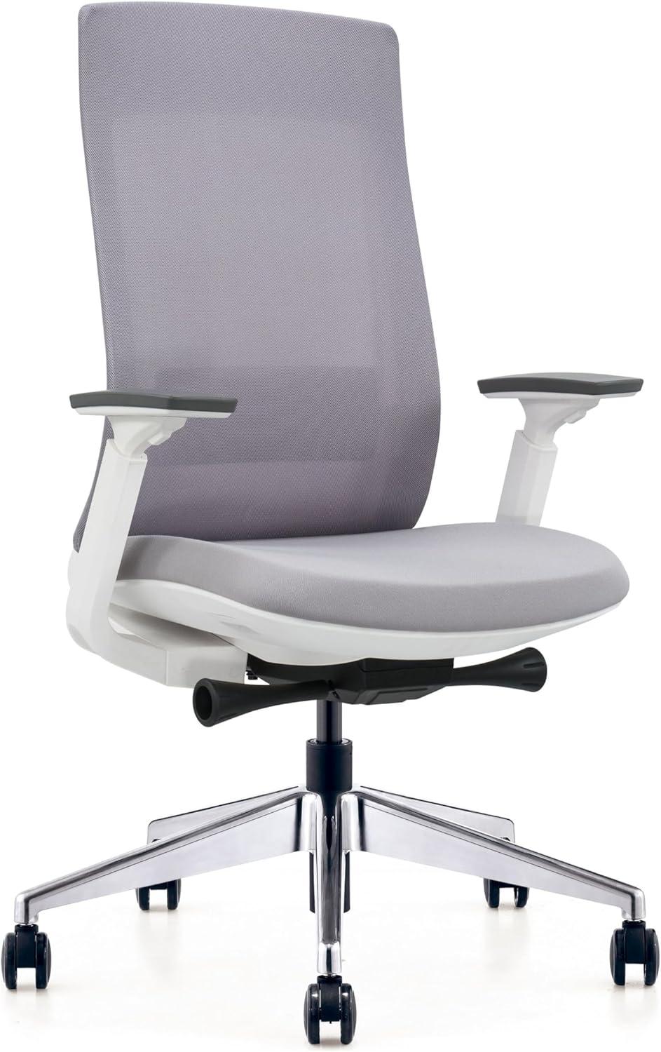 Eurotech Elevate Ergonomic Adjustable Office Chair, White Frame Gray Mesh