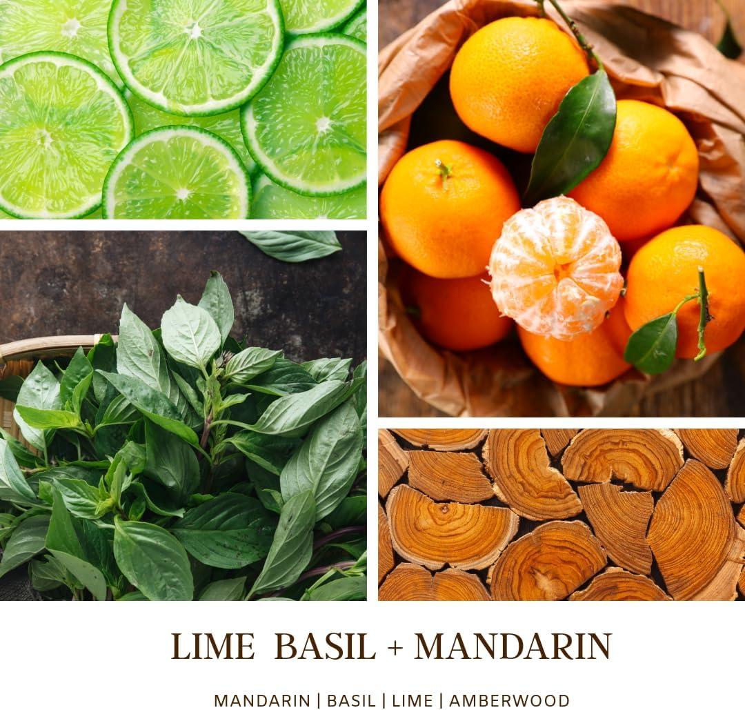 Lime Basil Mandarin Scented Black Soy Glass Candle