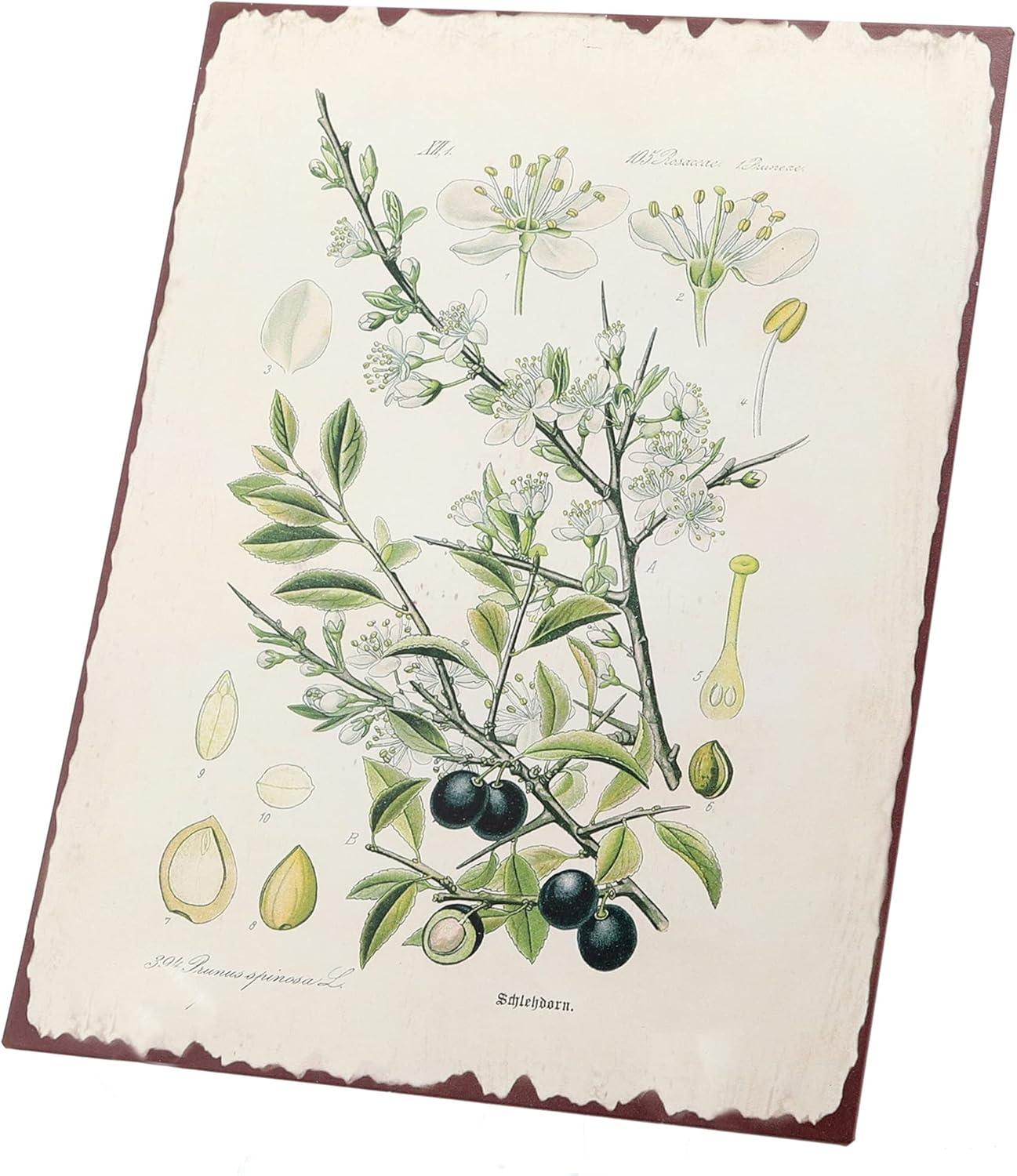 Barnyard Designs Botanical Blackthorn Tree Print Wall Art Metal Tin Sign Primitive Country Farmhouse Home Decor, 10" x 13"