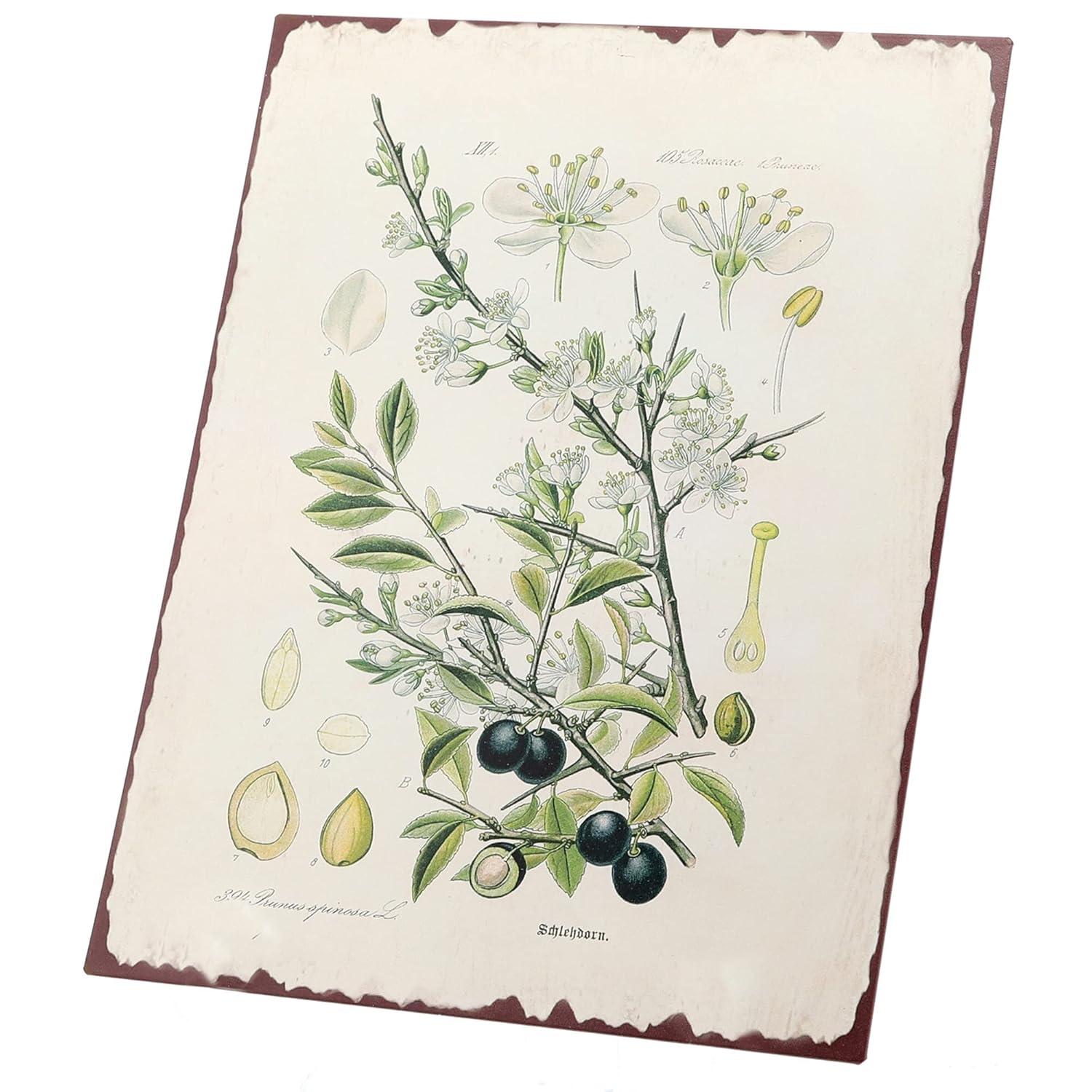 Barnyard Designs Botanical Blackthorn Tree Print Wall Art Metal Tin Sign Primitive Country Farmhouse Home Decor, 10" x 13"