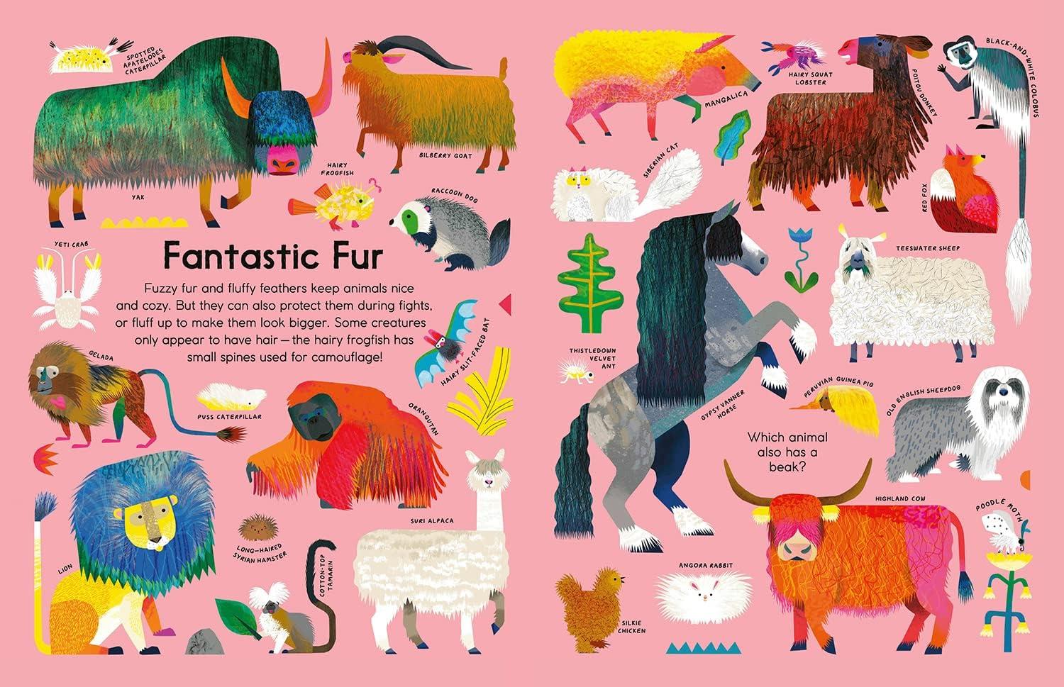 Creature Features Vibrant Illustrated Kids' Non-fiction Book