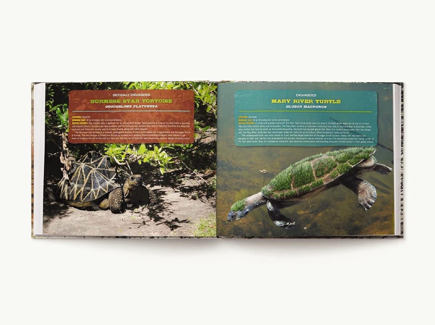Discovering Reptiles - by  Thomas Nelson (Hardcover)