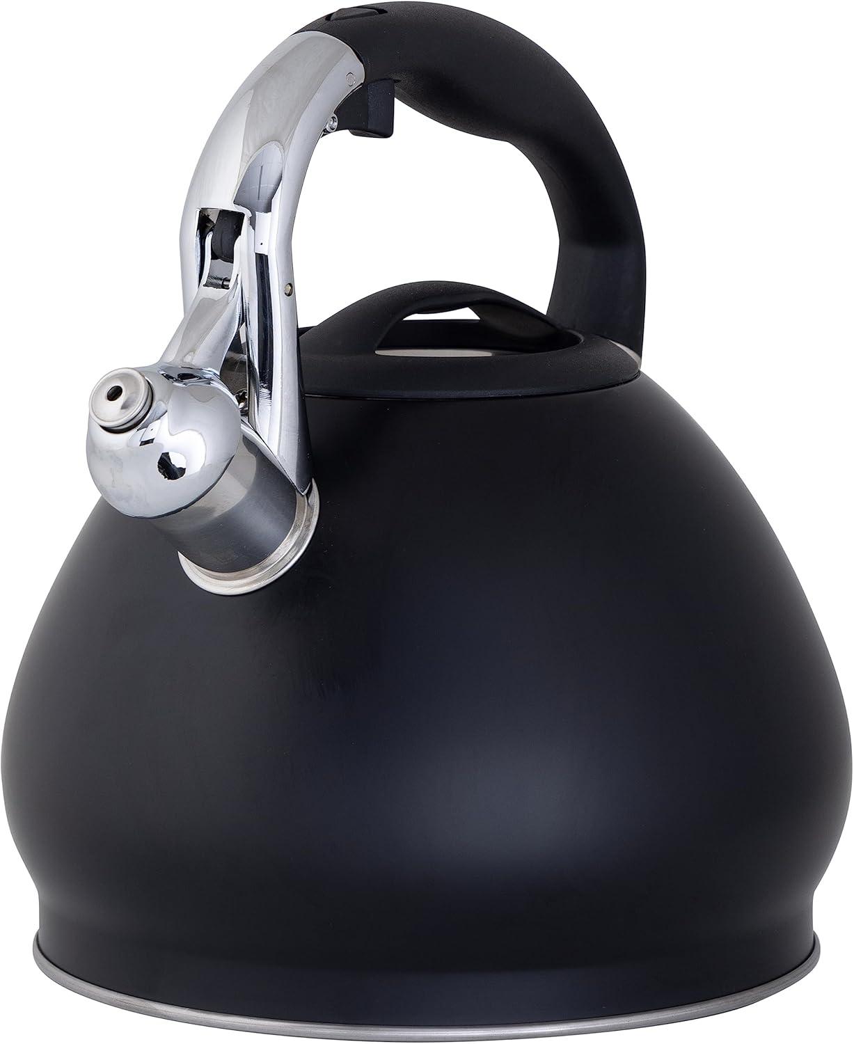 Depot Esh 10 Cup Stainless Steel Tea Kettle in Black