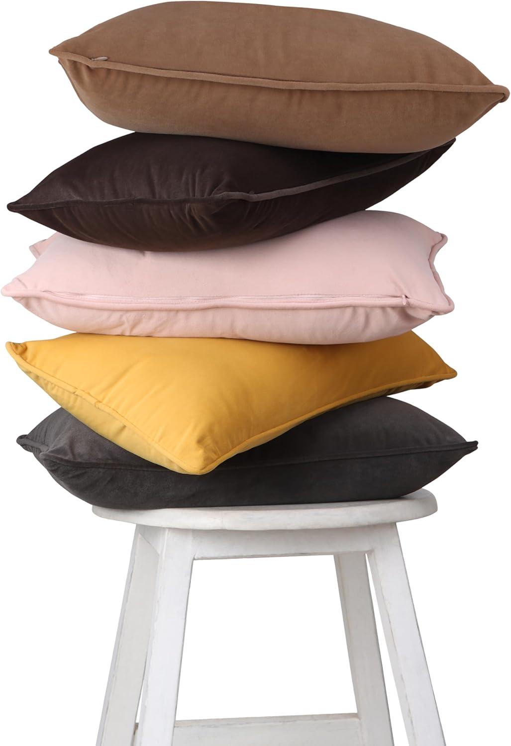 A1 Home Collections LLC Velvet Pillow Cover (Set of 2)