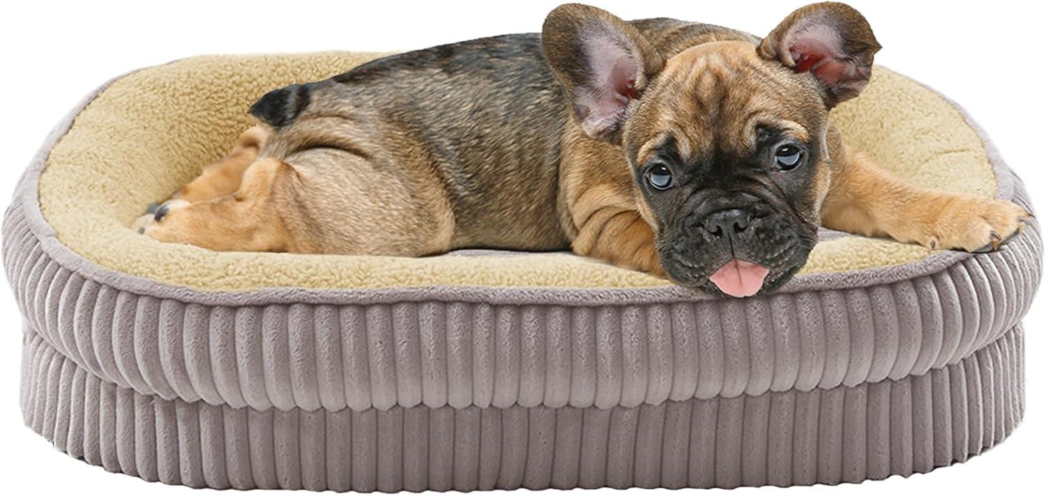 Dog Bed for Puppy, Oval Cat Beds, Pet Couch Bed with Four Sided Bolster