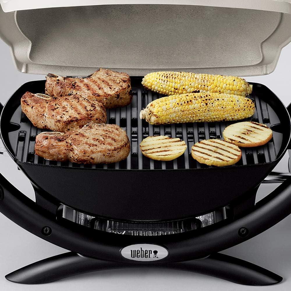 Weber Q 1000, Titanium