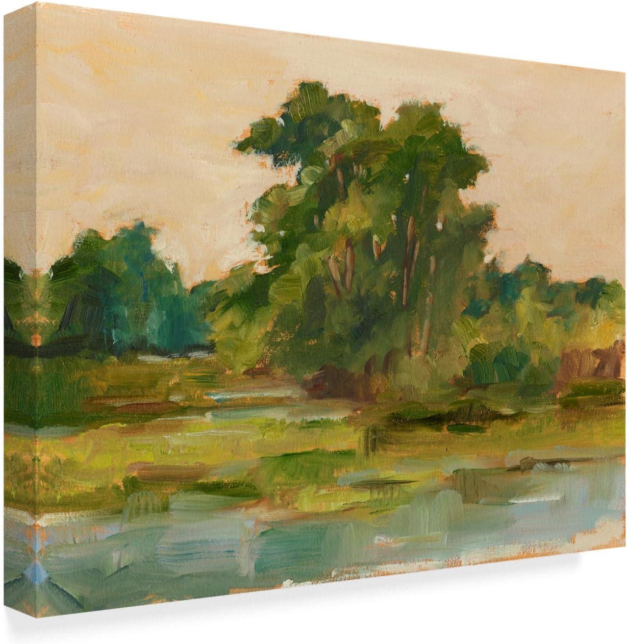 Trademark Fine Art 'Changing Sunlight I' Canvas Art by Ethan Harper