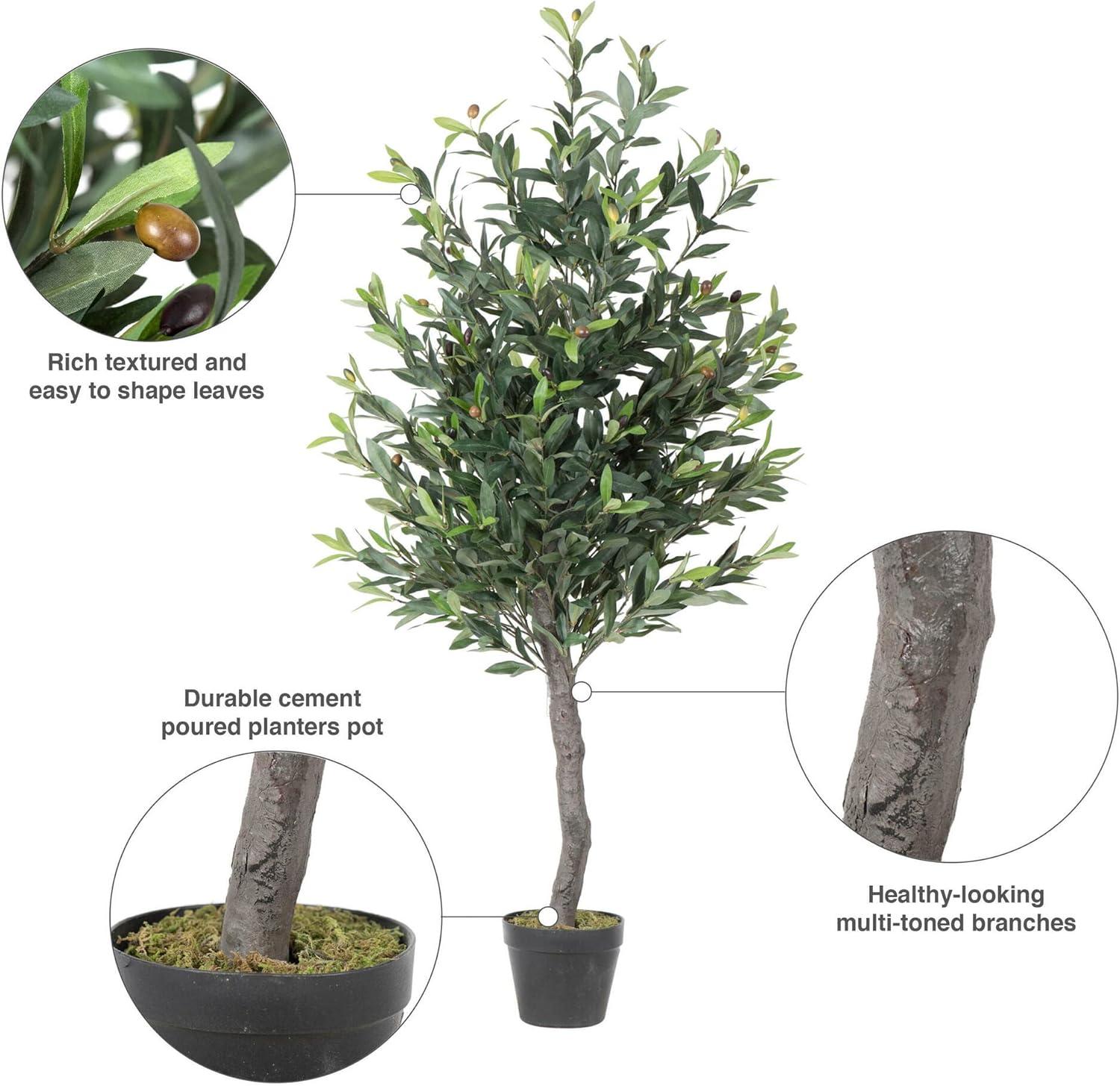 50 in. Green Olive Tree in Pot