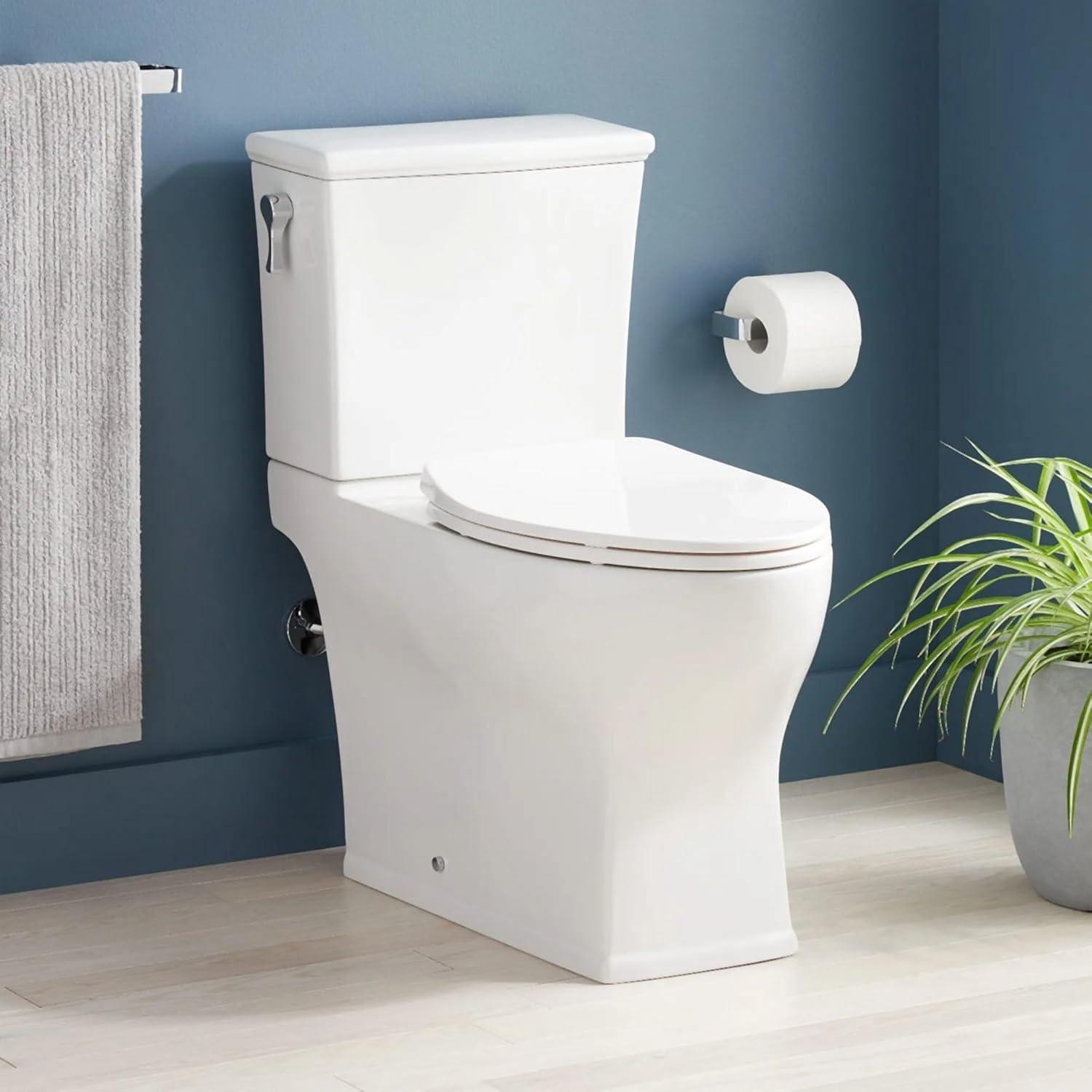 Carraway White Porcelain Two-Piece Elongated Toilet