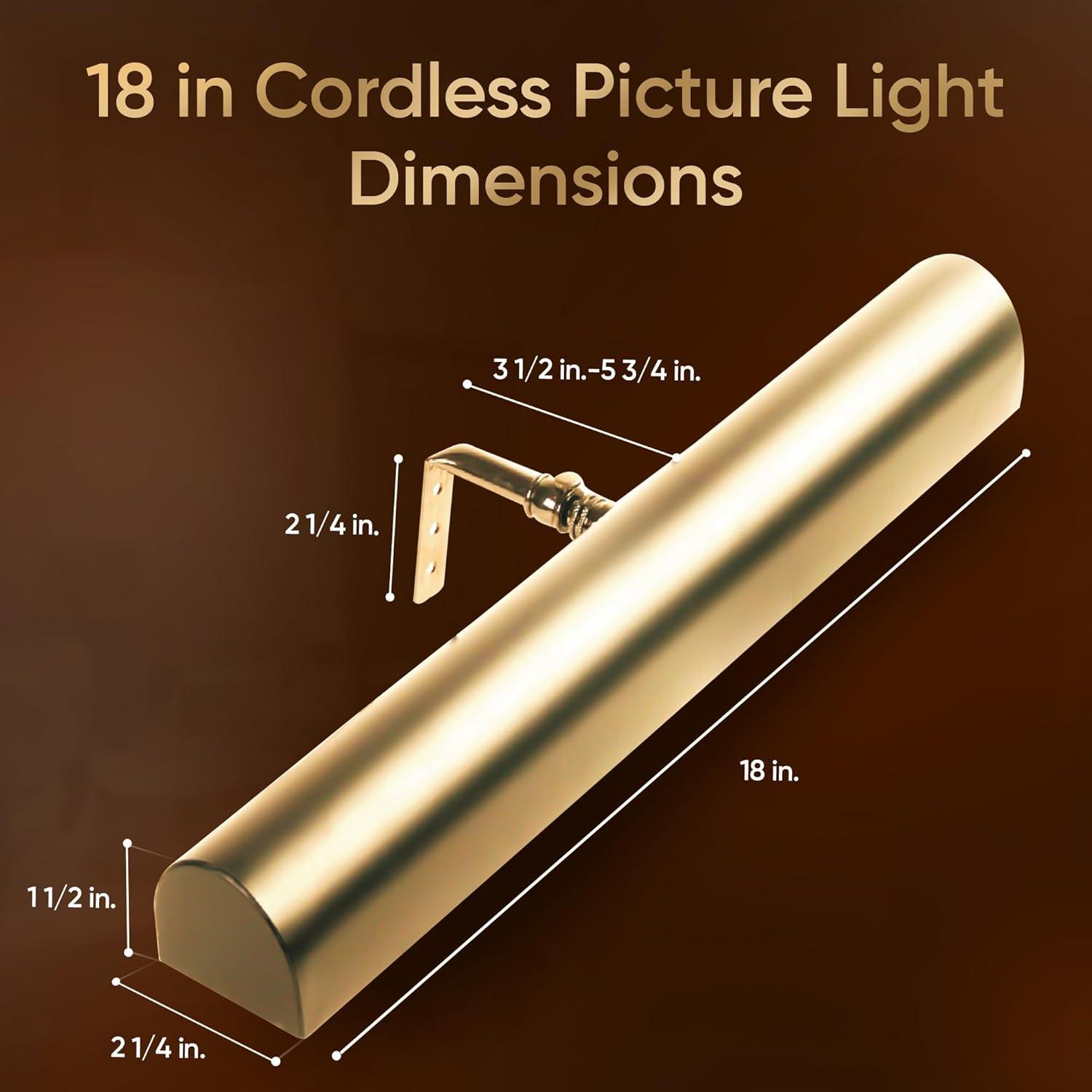 Concept Lighting Concept Polished Brass 18" Wide Battery LED Picture Light