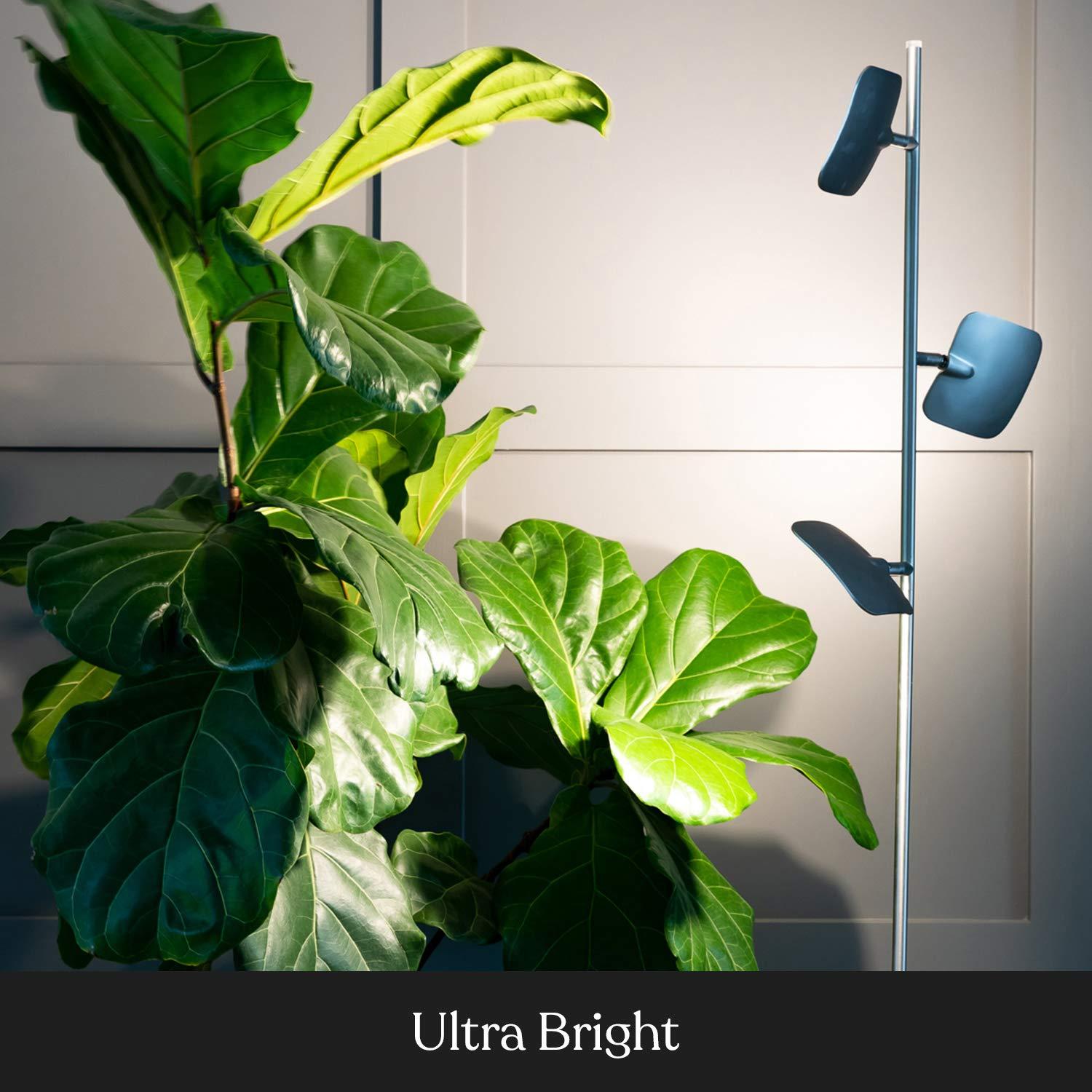 Brightech Tree Industrial LED 3-Way Dimming Floor Lamp with 3 Adjustable Spot Lights