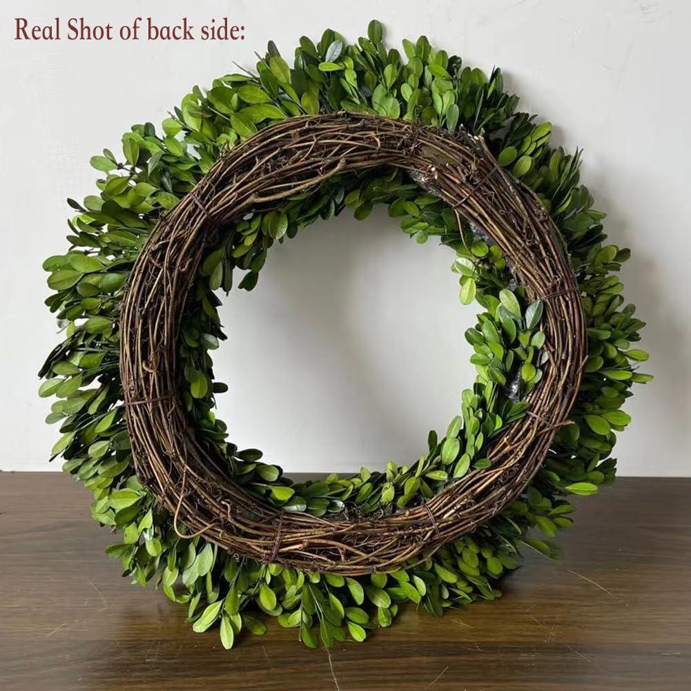 Alby Preserved Boxwood Real Greenery Wreath