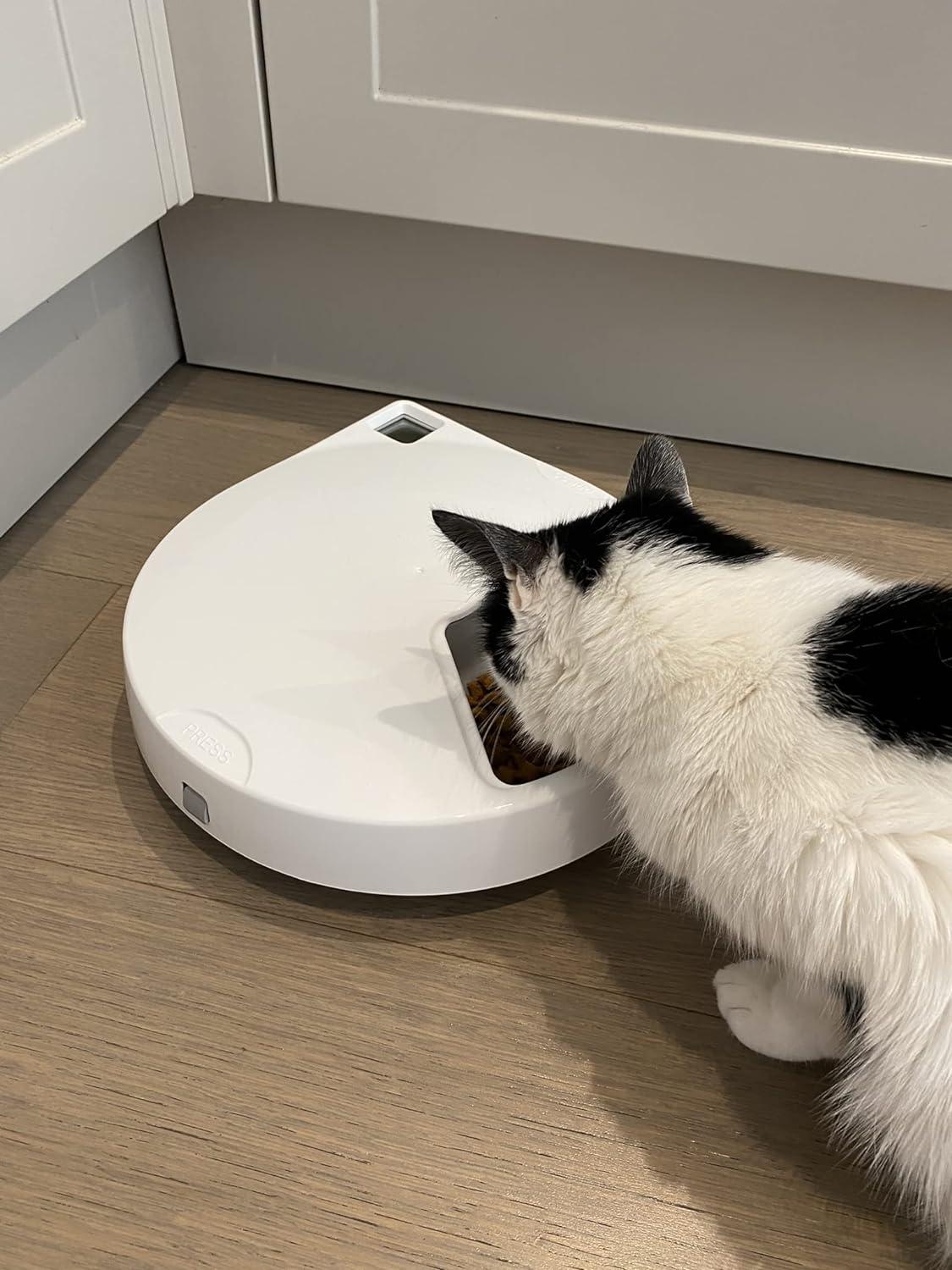 White Programmable Stainless Steel Automatic Pet Feeder