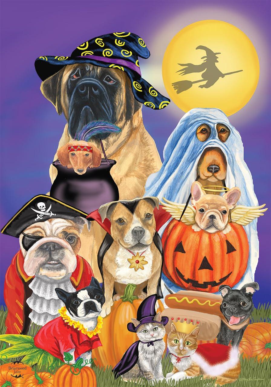 Briarwood Lane Garden Flag 12x18 For Outdoor Trick Or Treat Dogs Halloween For Halloween Garden Flag Flags For Outside