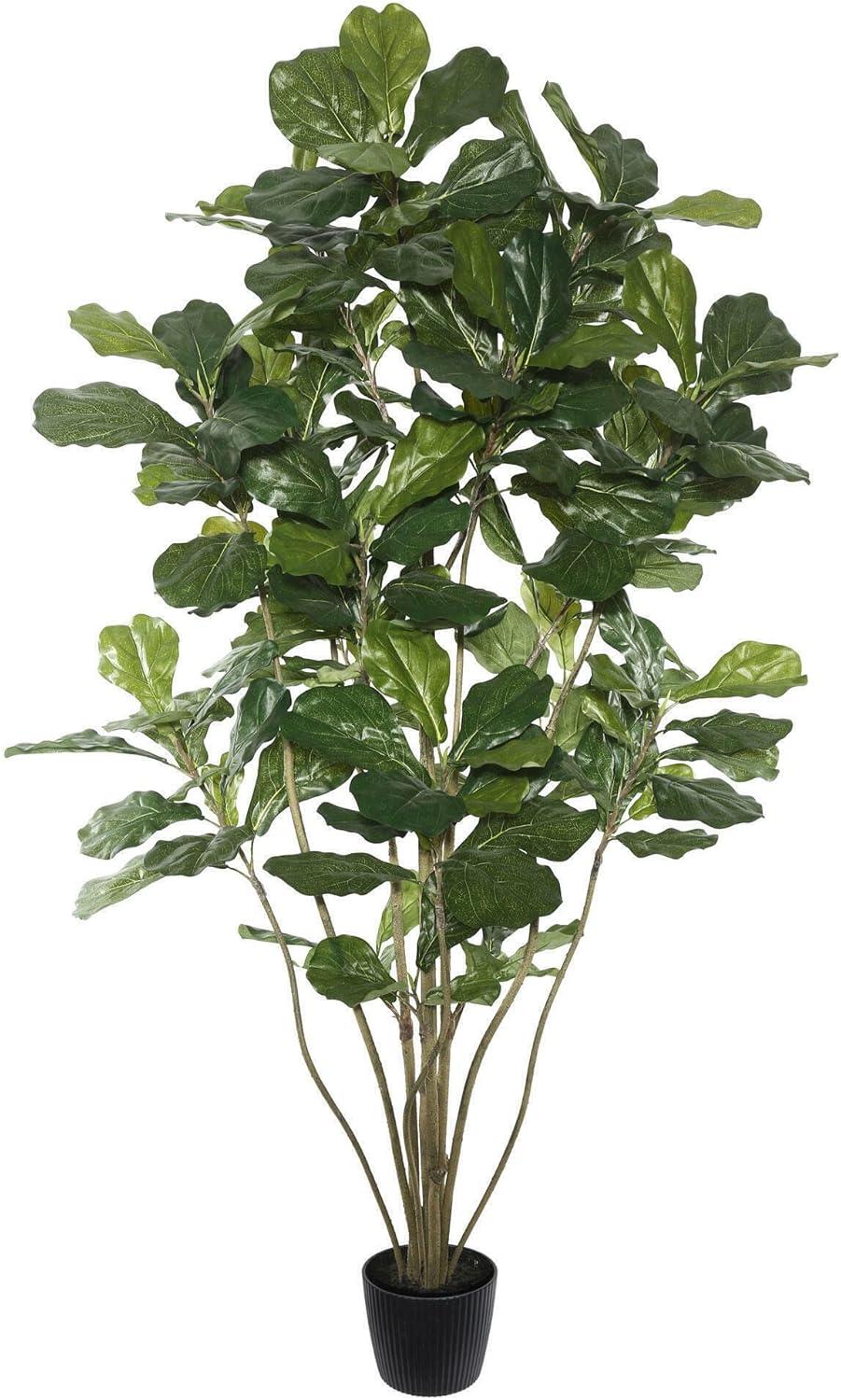 Vickerman 6' Artificial Green Potted Fiddle Tree.