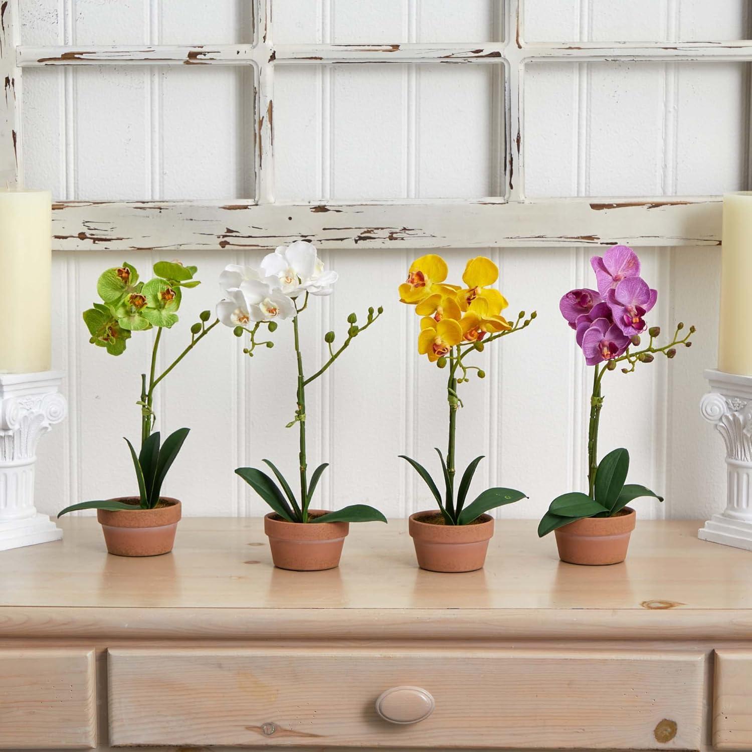 Nearly Natural Phalaenopsis Orchid with Clay Vase (Set of 4)