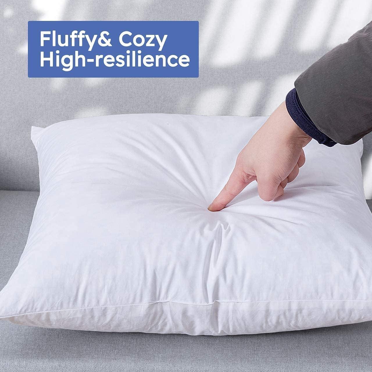 Down Pillow Insert