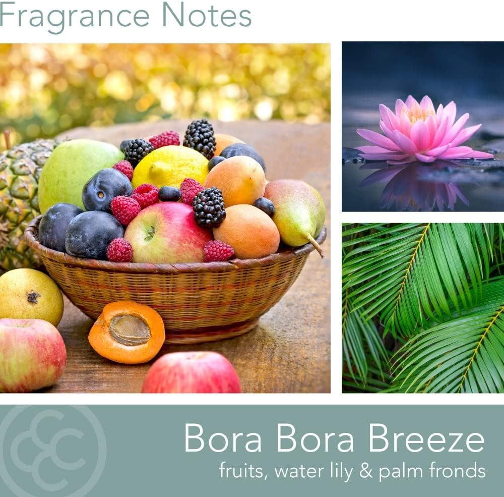 Colonial Candle Bora Bora Breeze Scented Jar Candle, Travel Collection, 3 Wick, Blue, 14.5 oz - Up to 60 Hours Burn