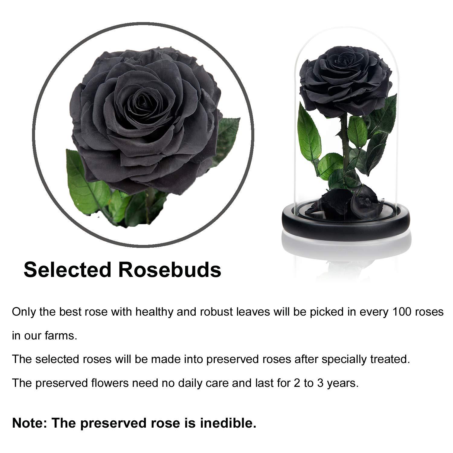 NATROSES Handmade Preserved Roses in Glass Dome, Black Roses Roses, Preserved Flowers Gifts for Women, Mothers Day Flowers
