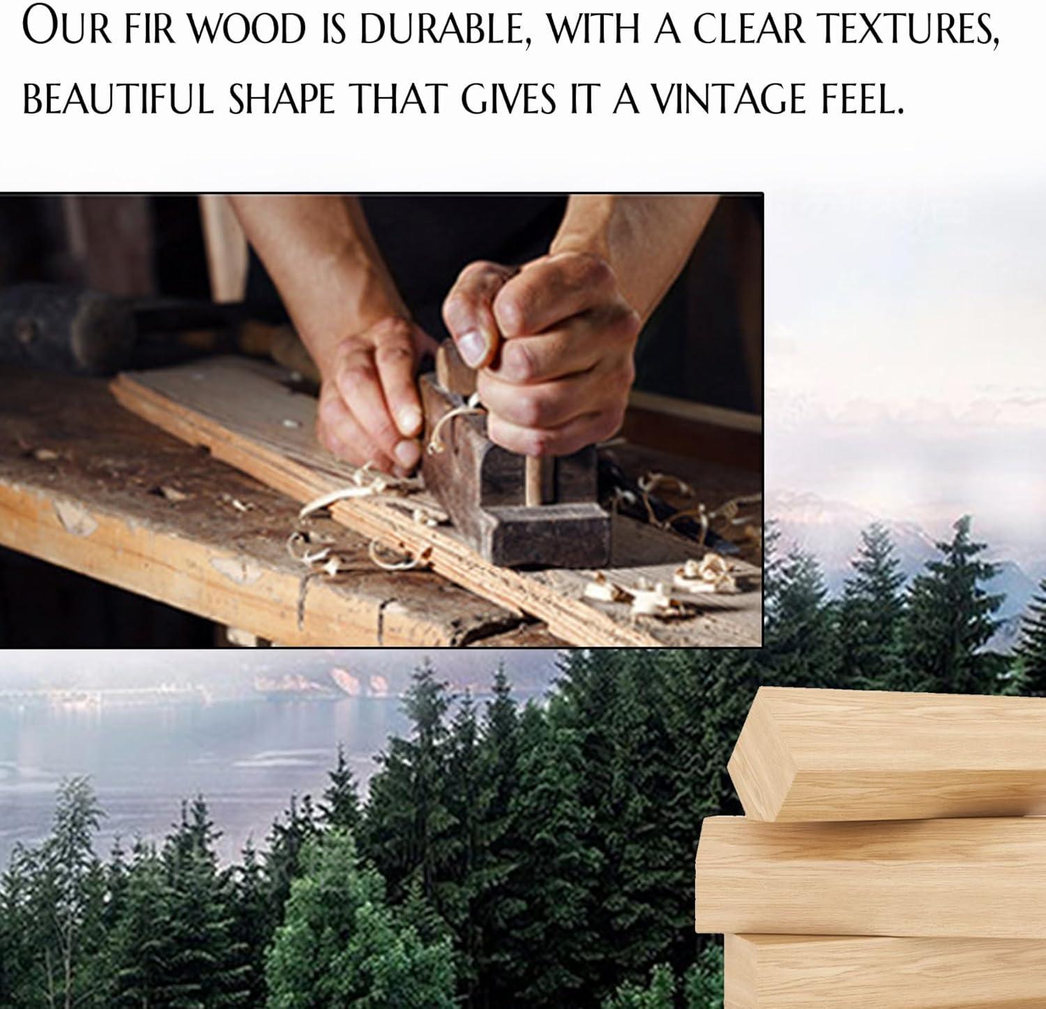 Vintage Illustrative Reference Plant Hanging Poster, Retro Style of Botanical Wall Art Prints, Printed on Linen with Wood Frames, Ready to Hang