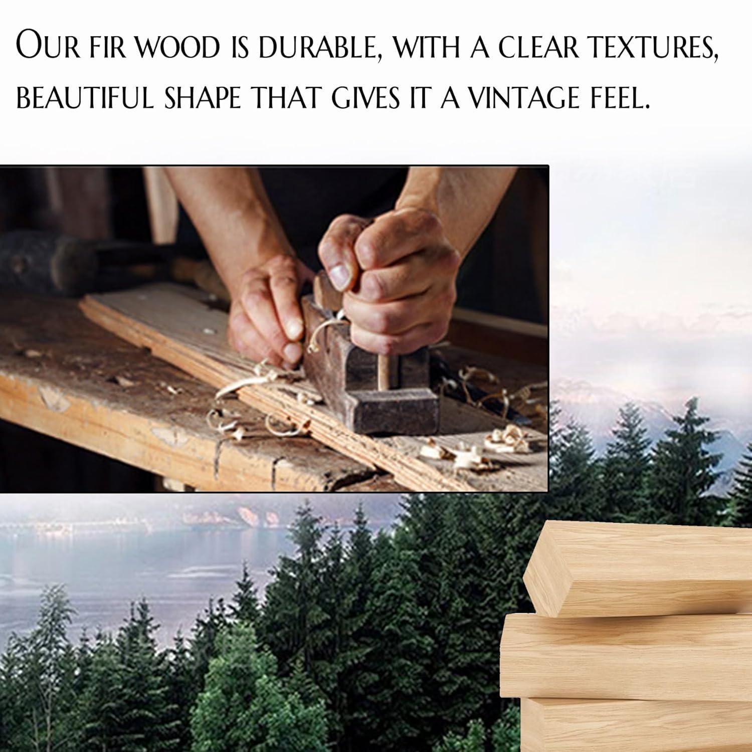 Vintage Illustrative Reference Plant Hanging Poster, Retro Style of Botanical Wall Art Prints, Printed on Linen with Wood Frames, Ready to Hang