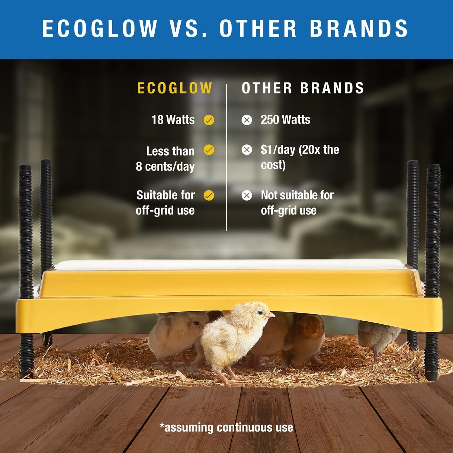 Brinsea EcoGlow 1200 Safety Economical 35 Chick Egg Incubator with Clear Plastic Cover