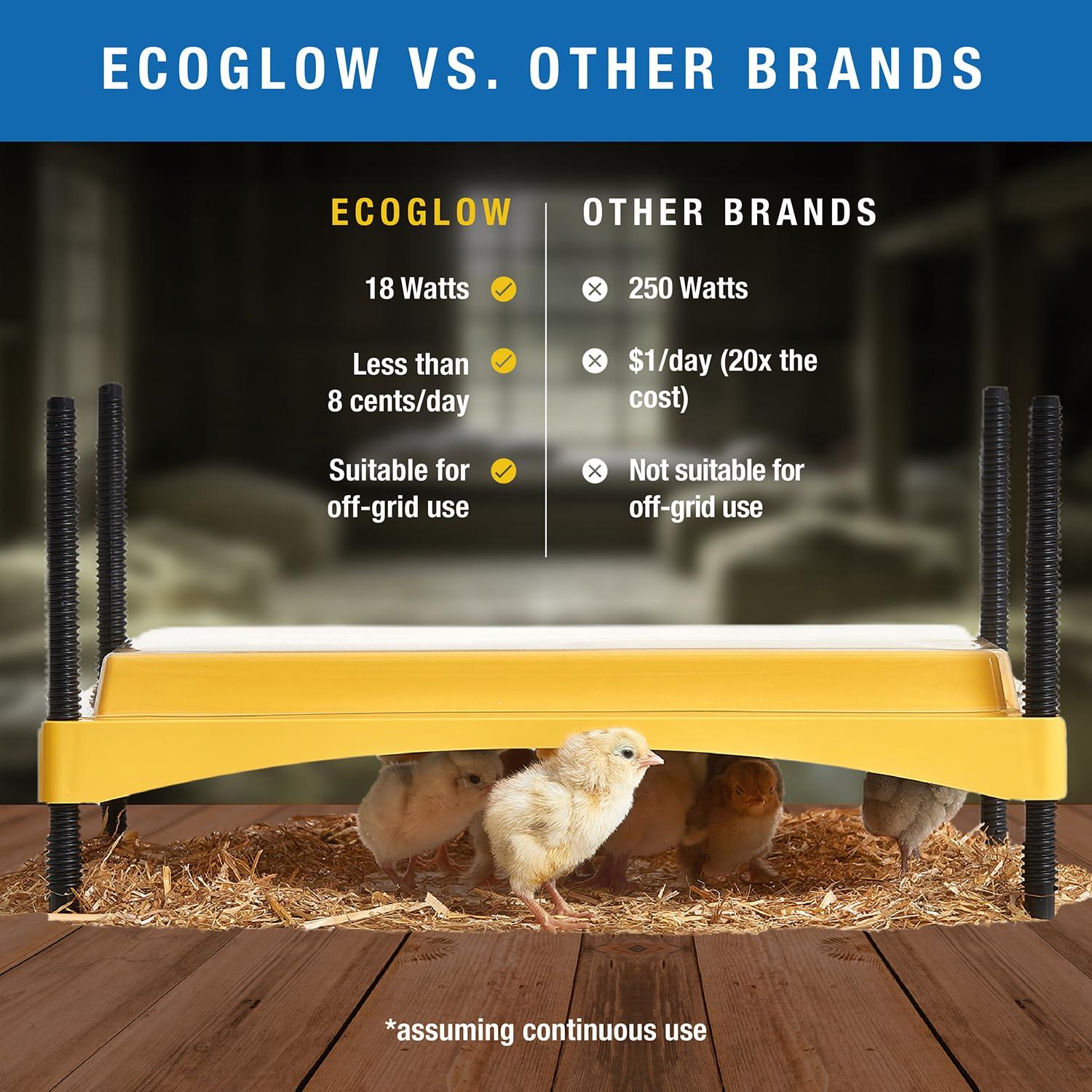 Brinsea EcoGlow 1200 Safety Economical 35 Chick Egg Incubator with Clear Plastic Cover