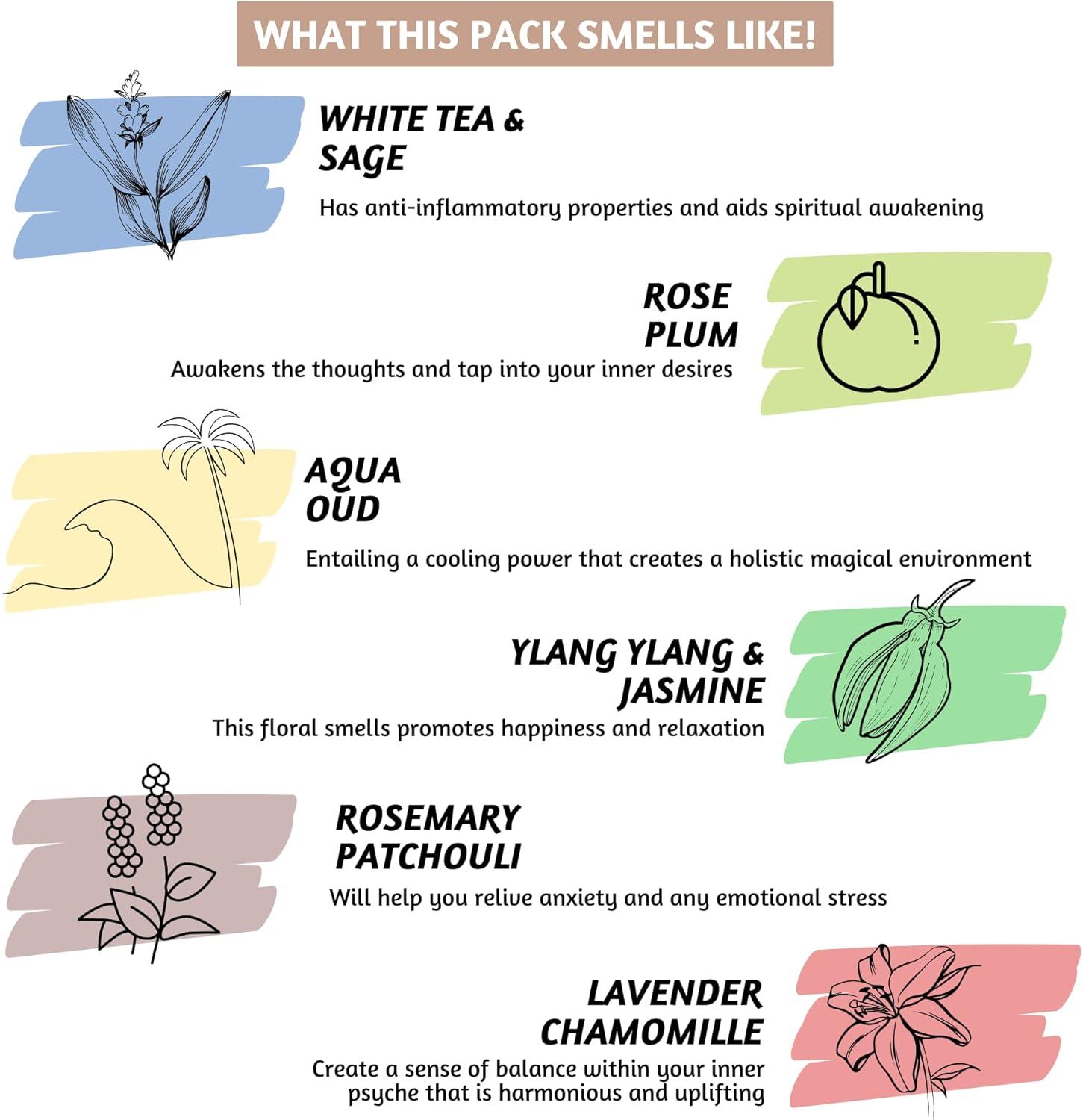 Folkulture Incense Sticks, Set of 6 (120 Sticks) - Rosemary, Jasmine, Lavender, Sage, Sleep Incense Sticks, Insence Sticks Variety Pack - Insense Sticks, Natural and Non Toxic (Sleep)