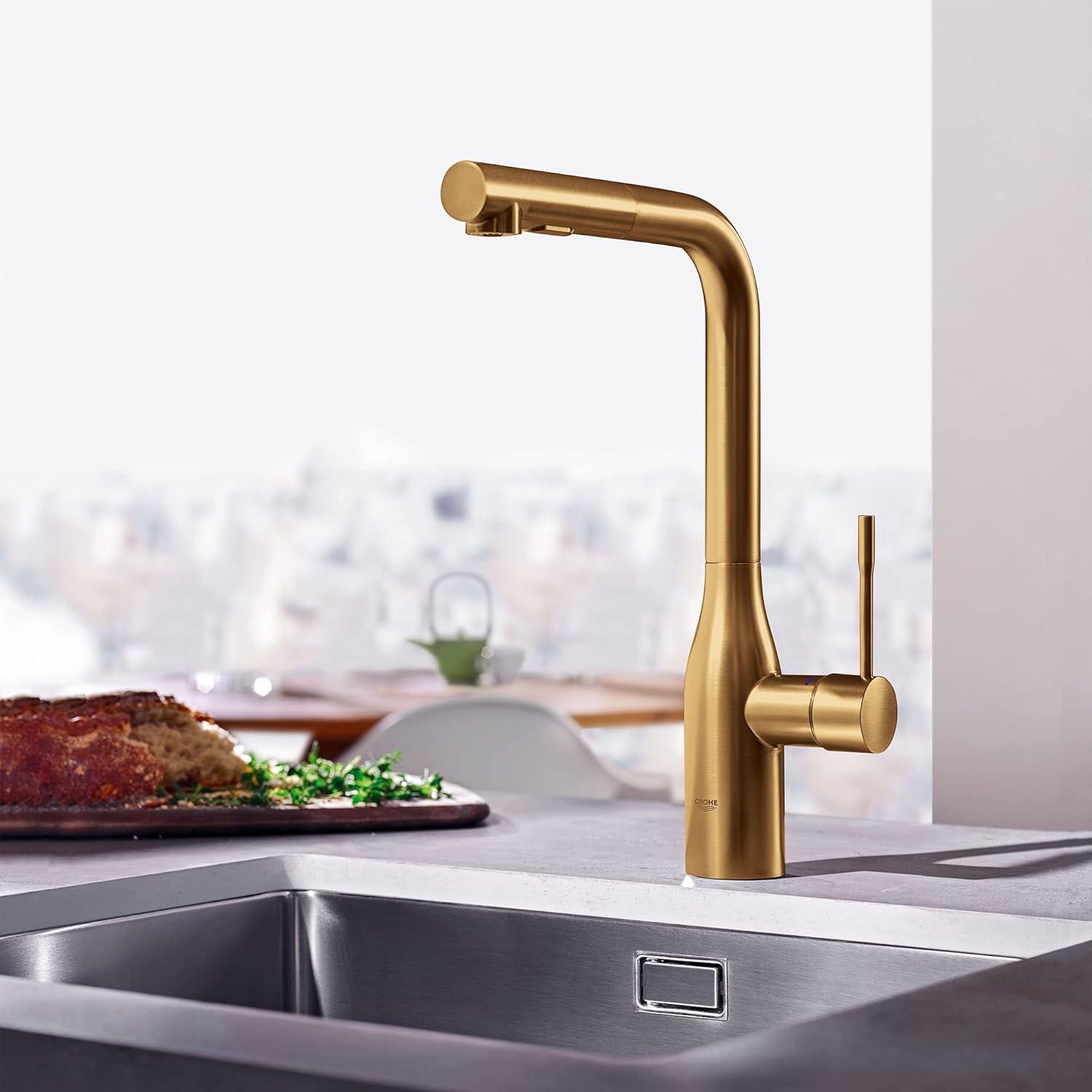 Essence Pull Out Single Handle Kitchen Faucet with Accessories