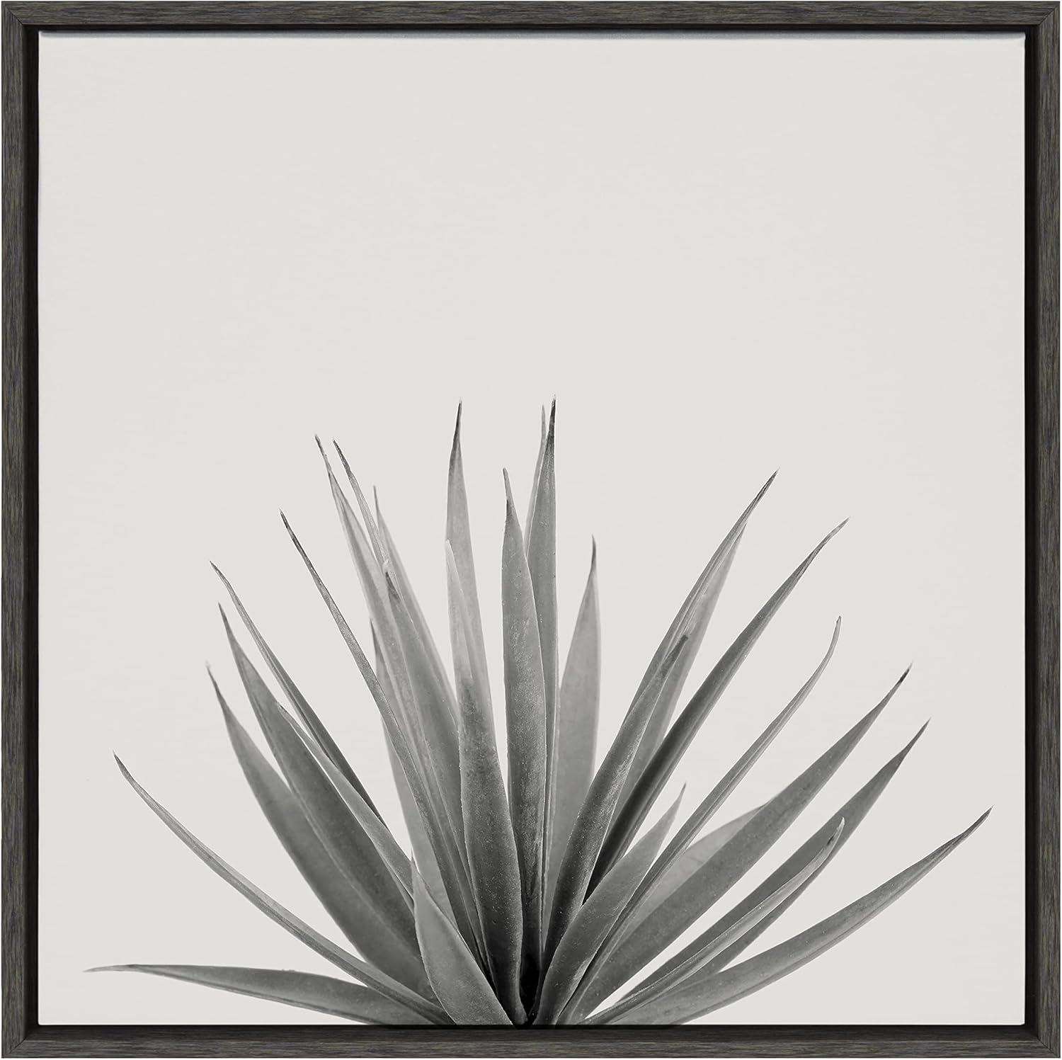 Kate and Laurel Sylvie Haze Agave Succulent Framed Canvas by The Creative Bunch Studio, 22x22, Dark Gray