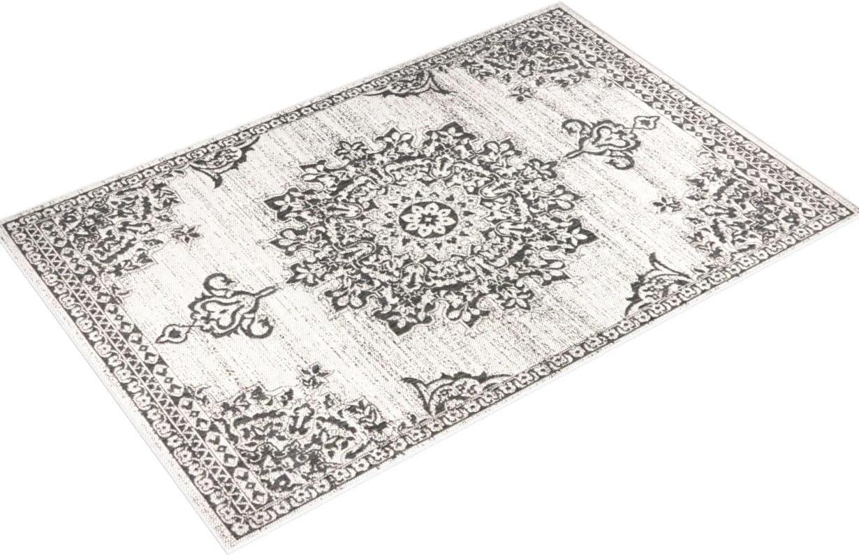 Nicole Miller Medallion Oriental Gray/Black Indoor/Outdoor Area Rug