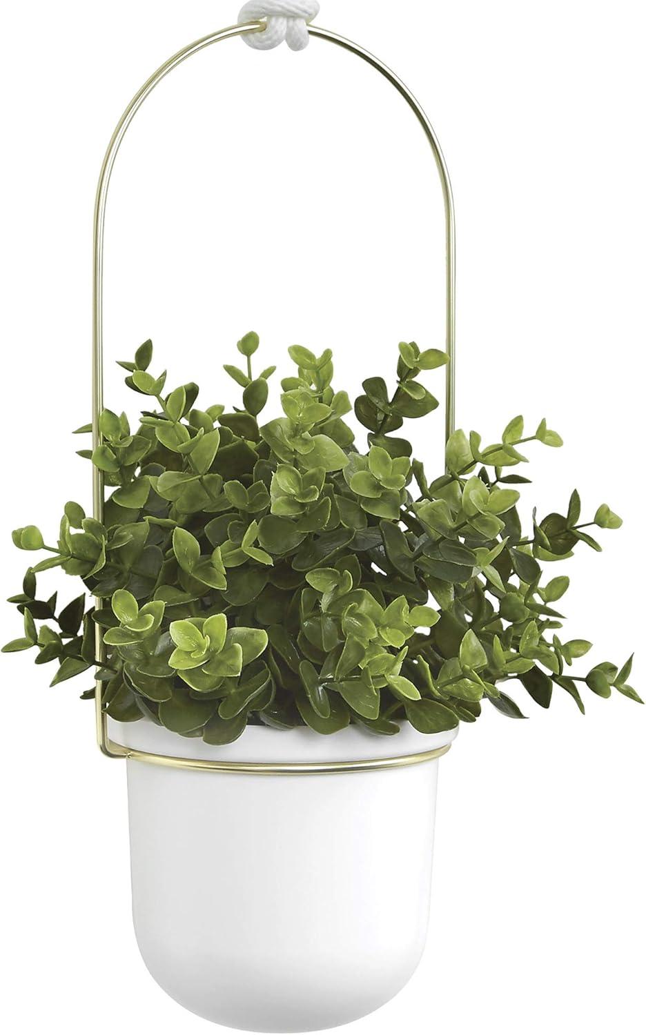 Umbra Triflora 3 Hanging Wall Planter