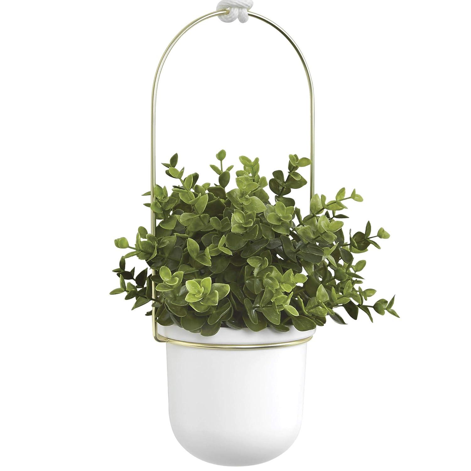 Umbra Triflora 3 Hanging Wall Planter