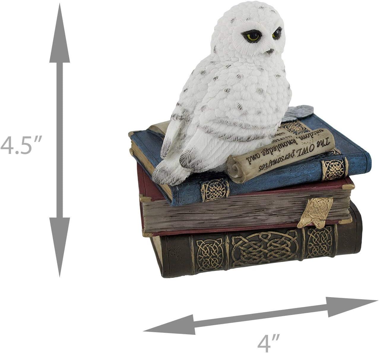 4.75 Inch Snow Owl on Books Decorative Trinket Box, White Color