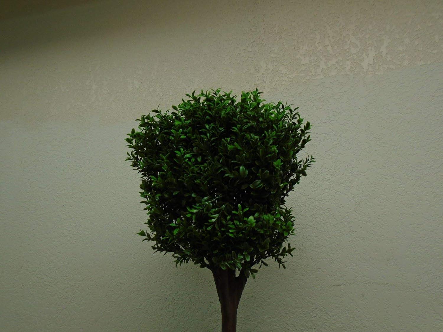 4' Double -shaped Boxwood Topiary in Plastic Pot Two Tone Green