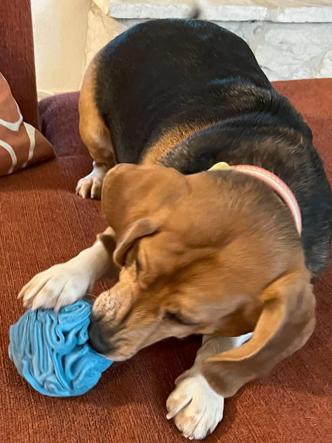 Snuffle Interactive Foraging Dog Puzzle Ball Toy for Puppy and Adult