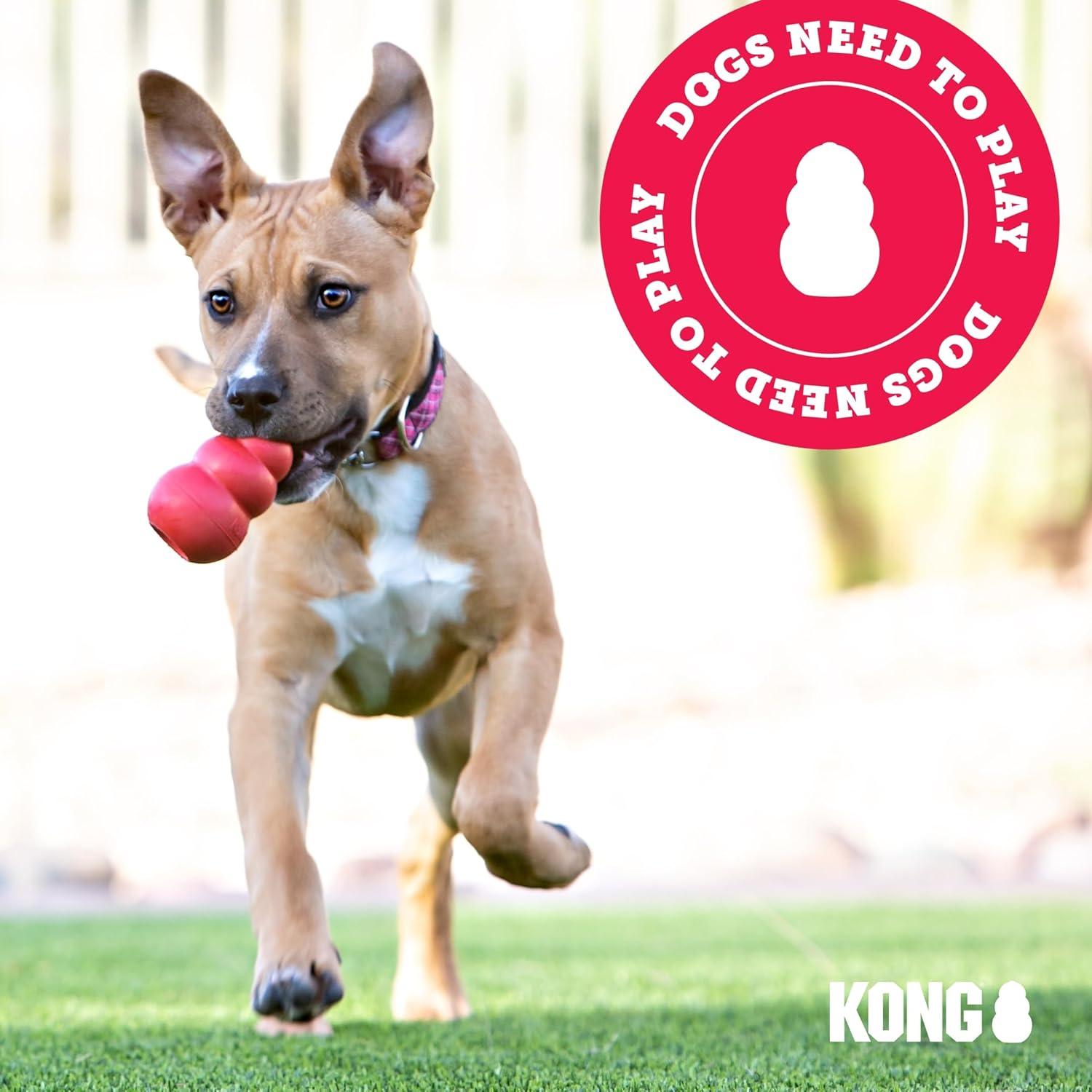 KONG Extreme Dog Toy, Black, Large